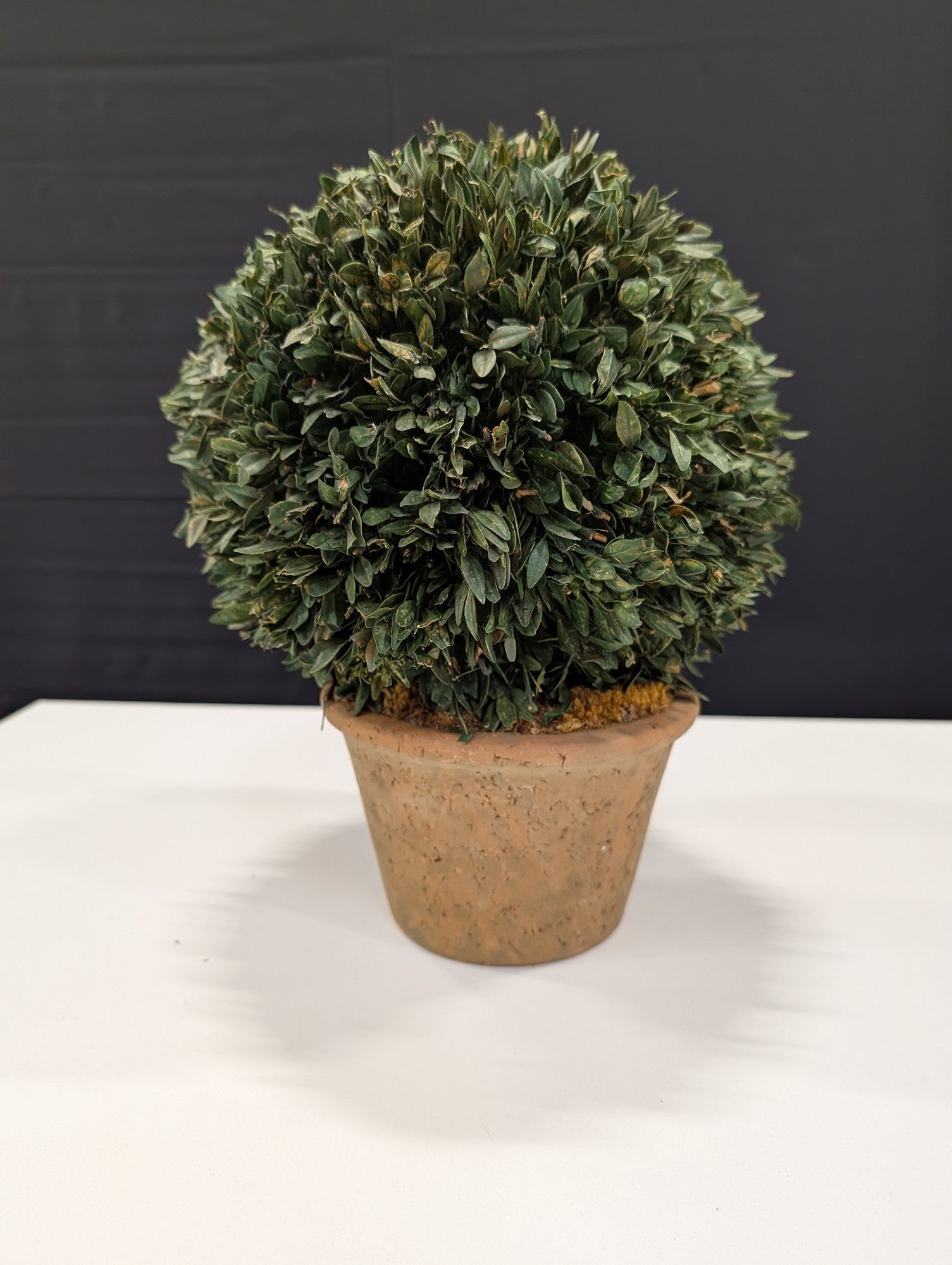Decorative Faux Boxwood Topiary Ball in Terracotta Pot