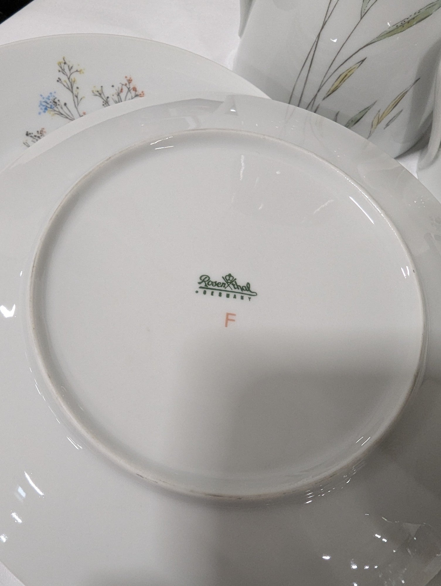 Rosenthal Germany Floral Porcelain Coffee Tea Dinnerware Set