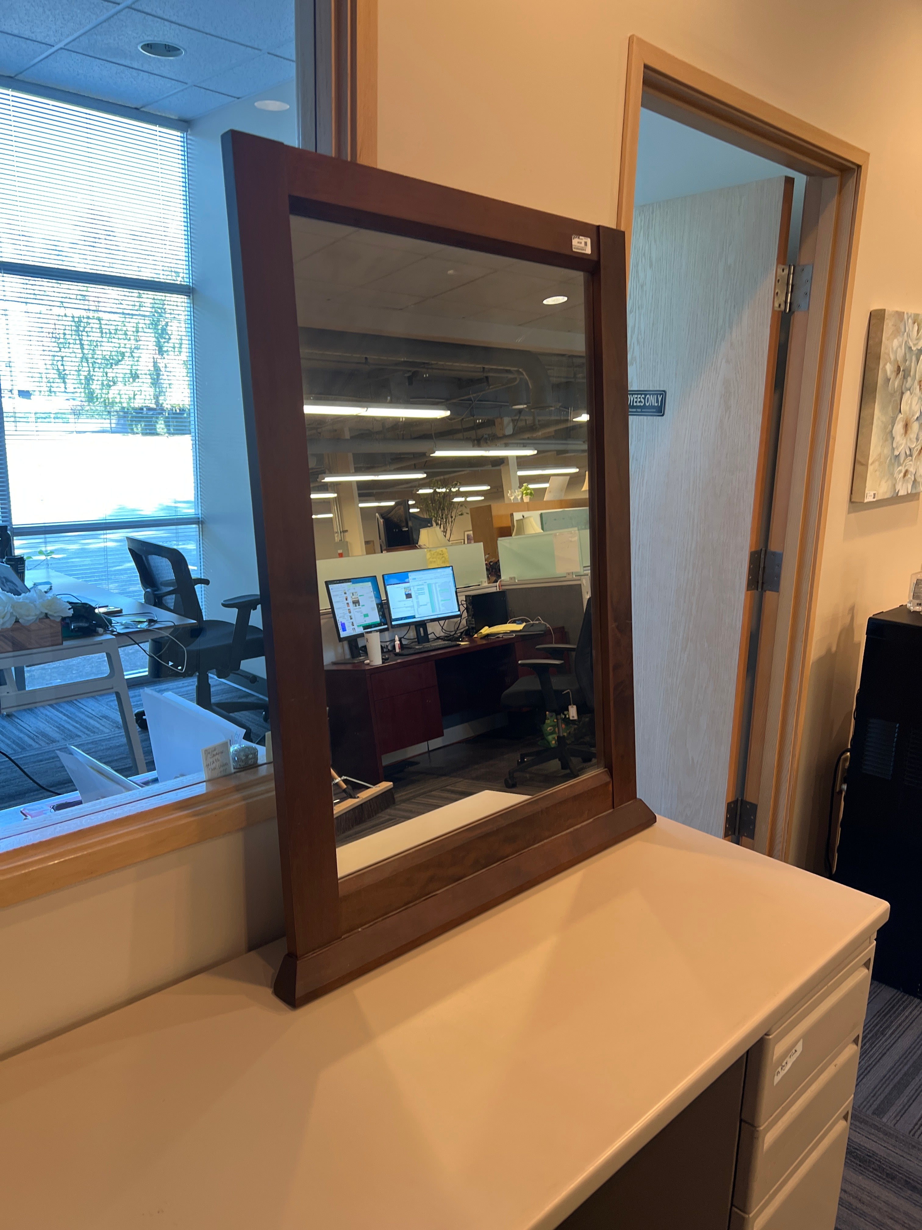 Dark Wood Framed Rectangular Mirror