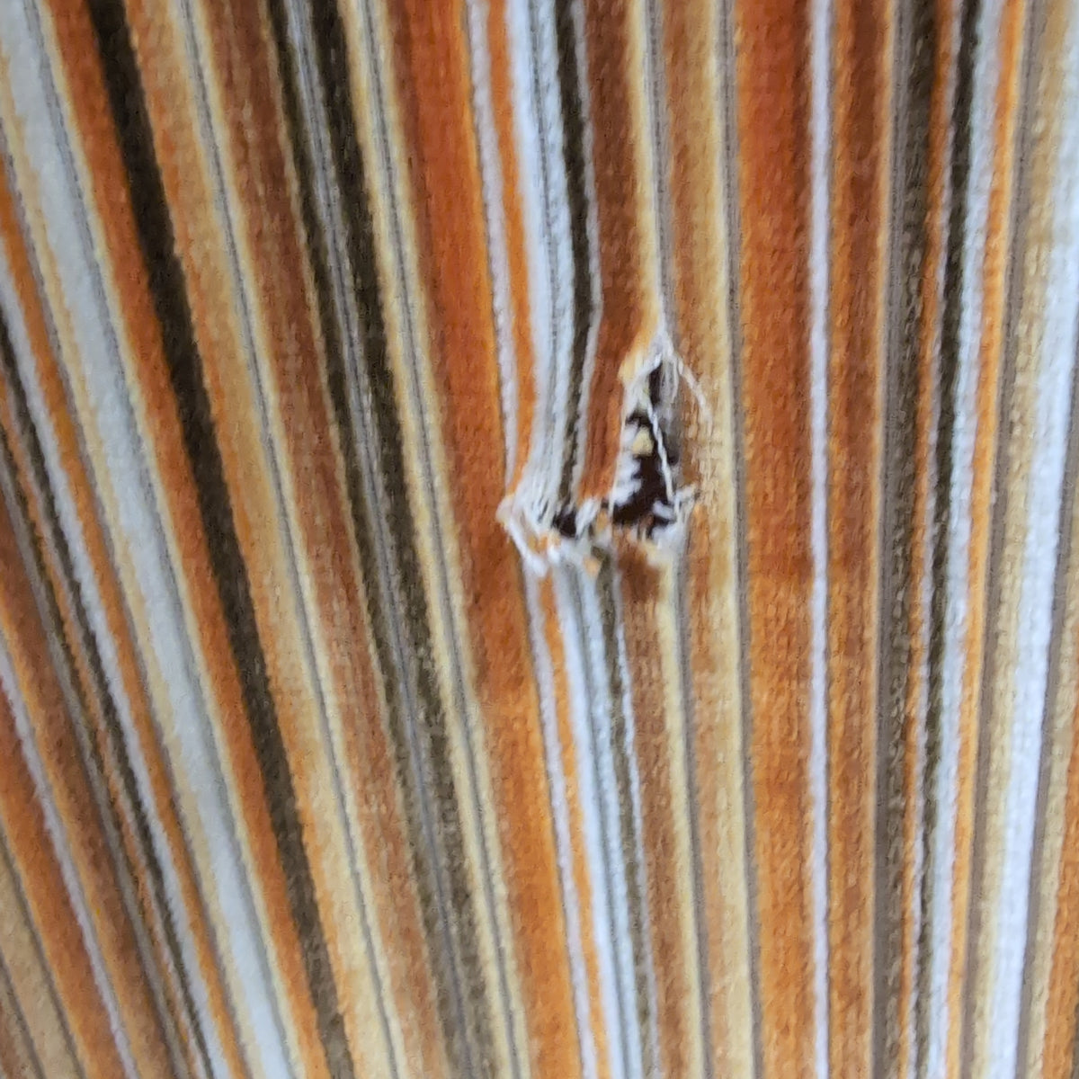 Traditional Brown Striped Wingback Chair