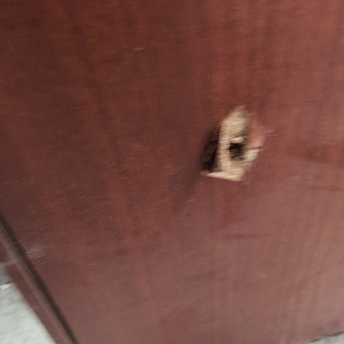 Reddish Brown Two-Door Storage Cabinet