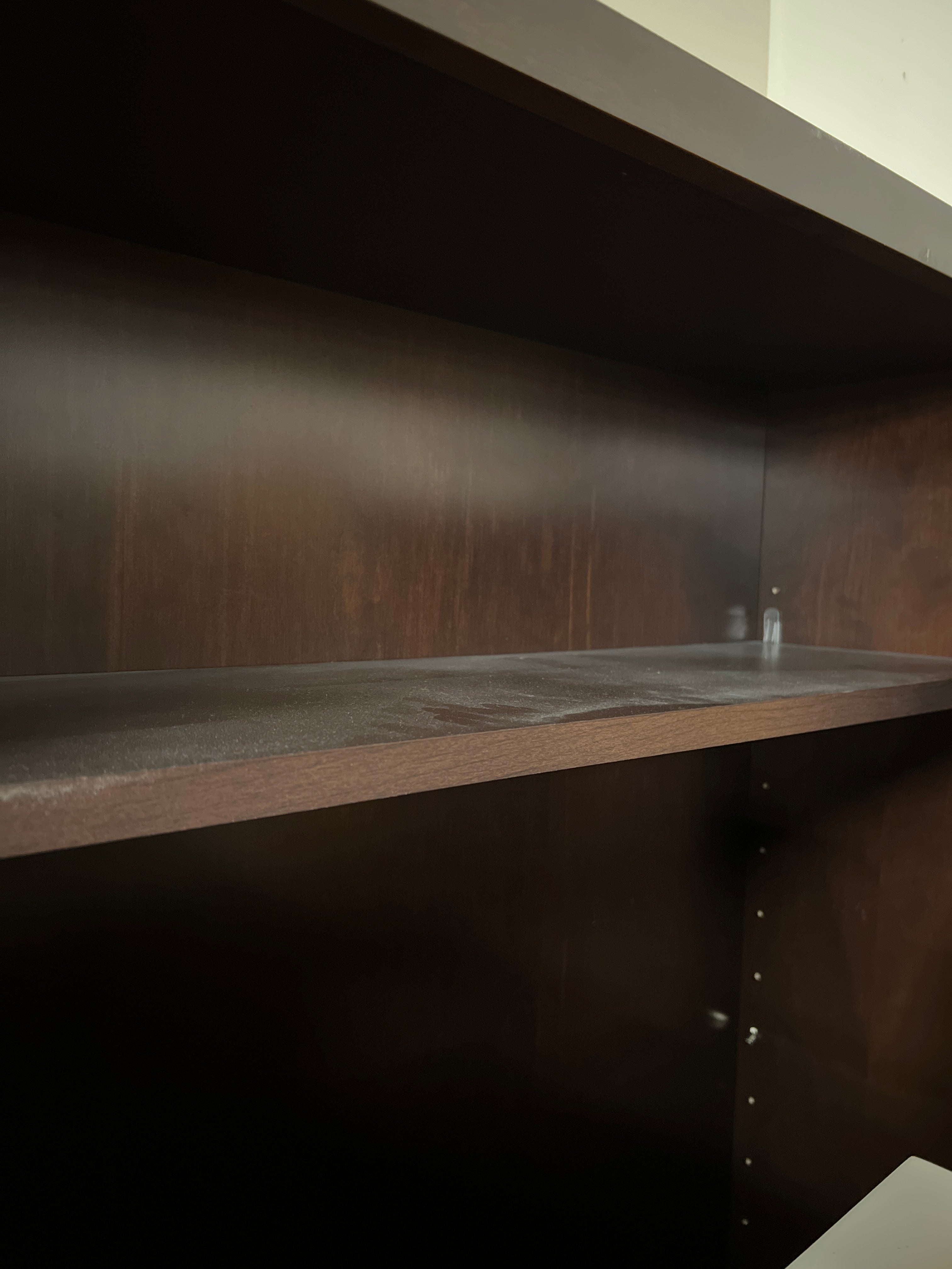 Tall Two Door Bookshelf