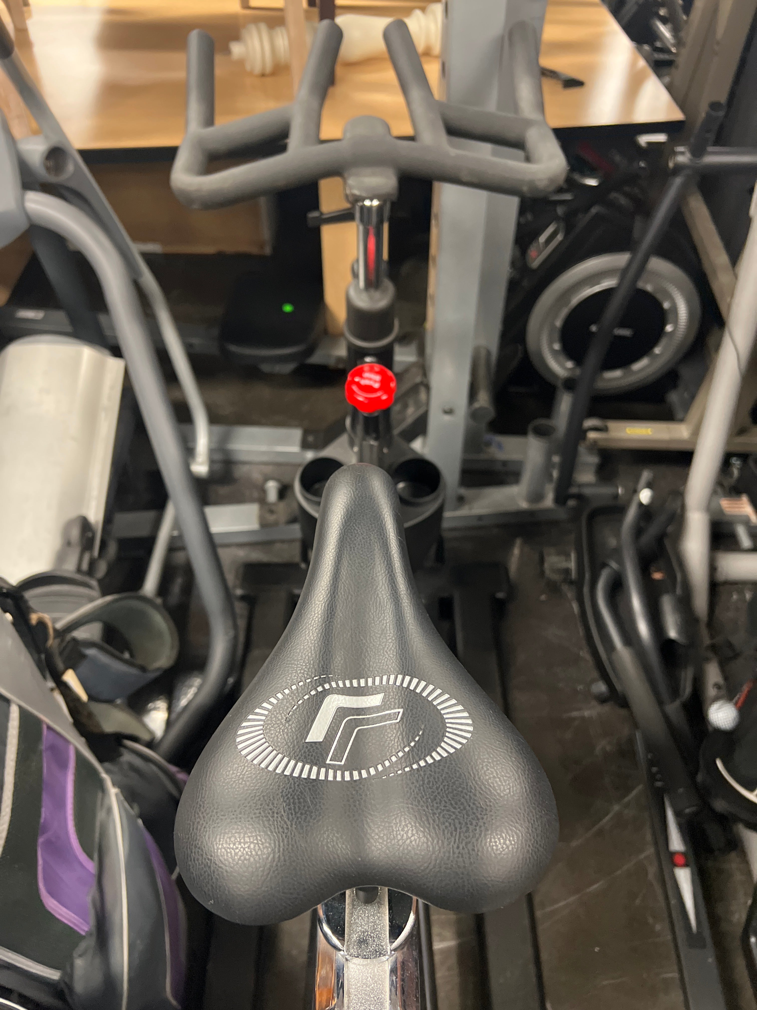 RealRyder Stationary Bike