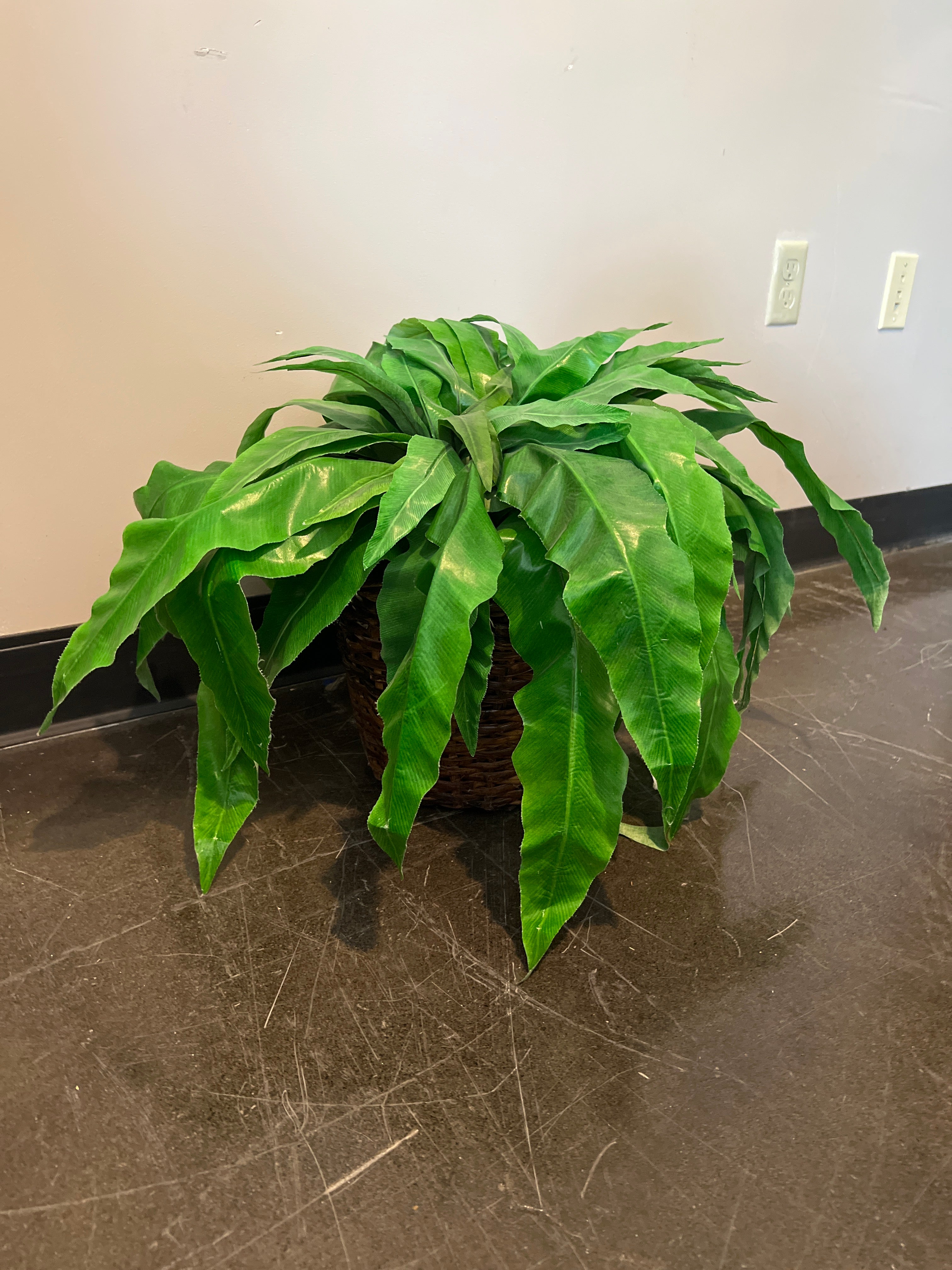Small Artificial Fern Plant in Wicker Basket