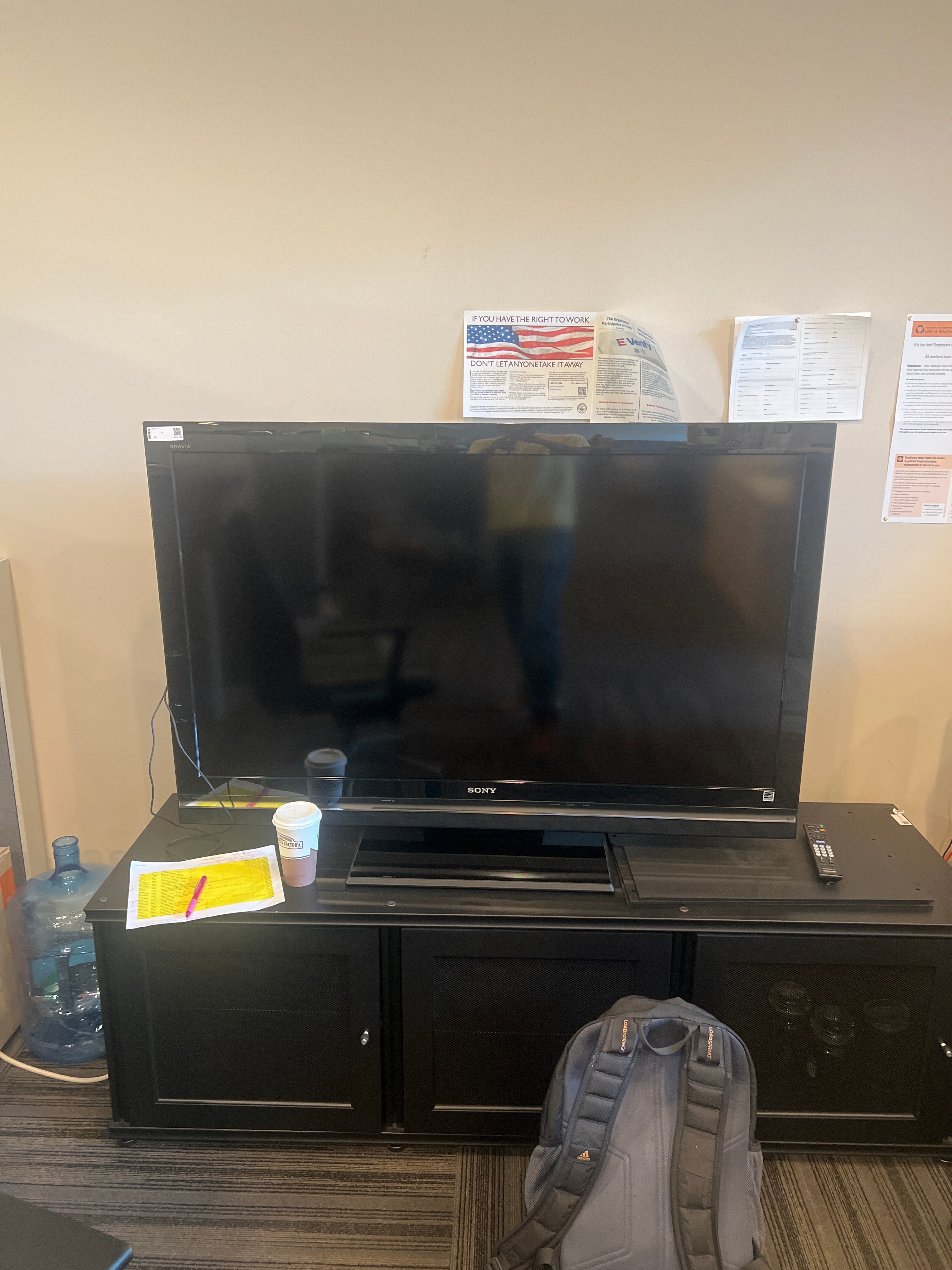 Sony Bravia 53” LCD Digital Color TV (KDL-52V5100)