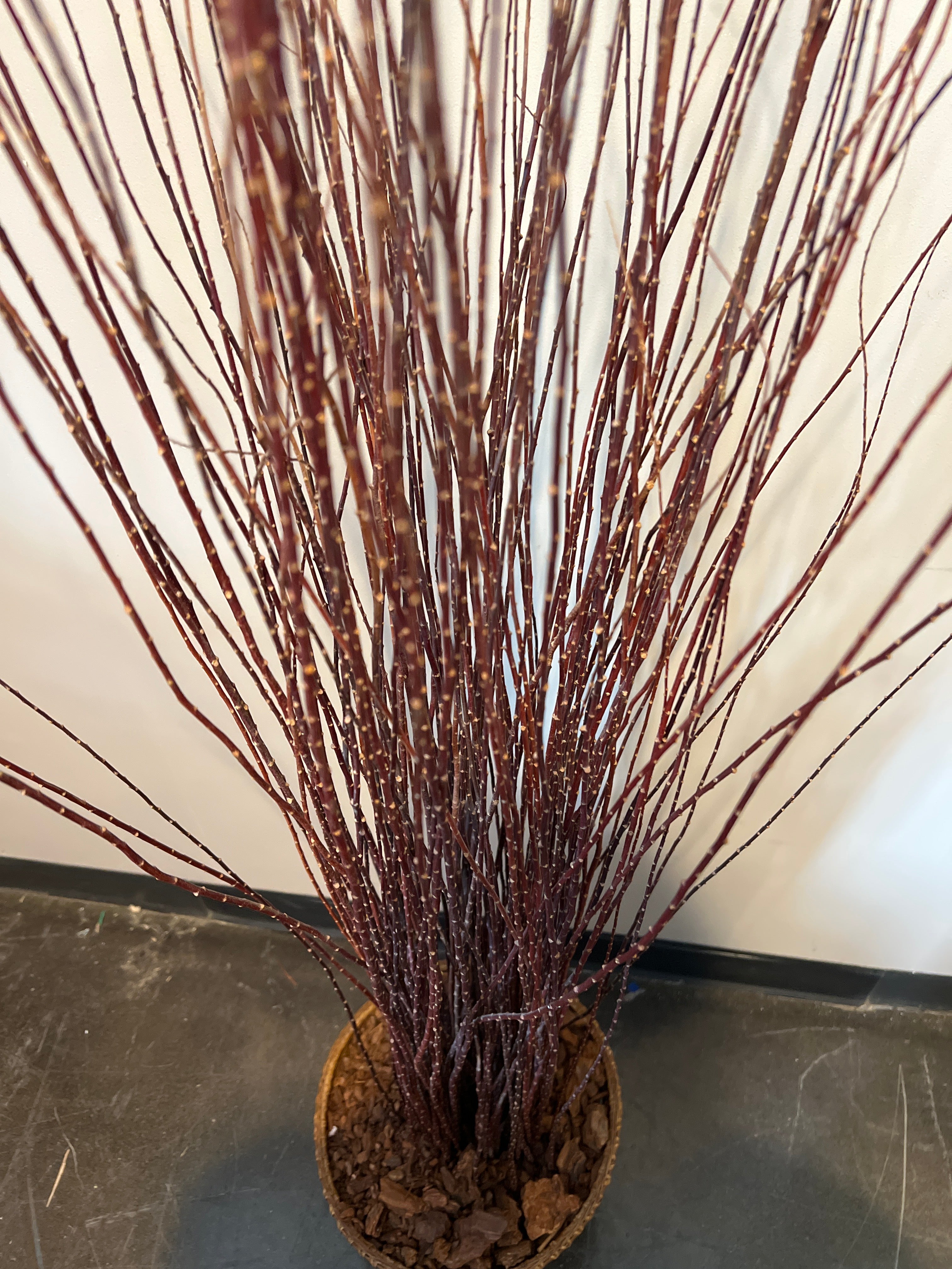 Decorative Red Twig Arrangement in Wicker Basket