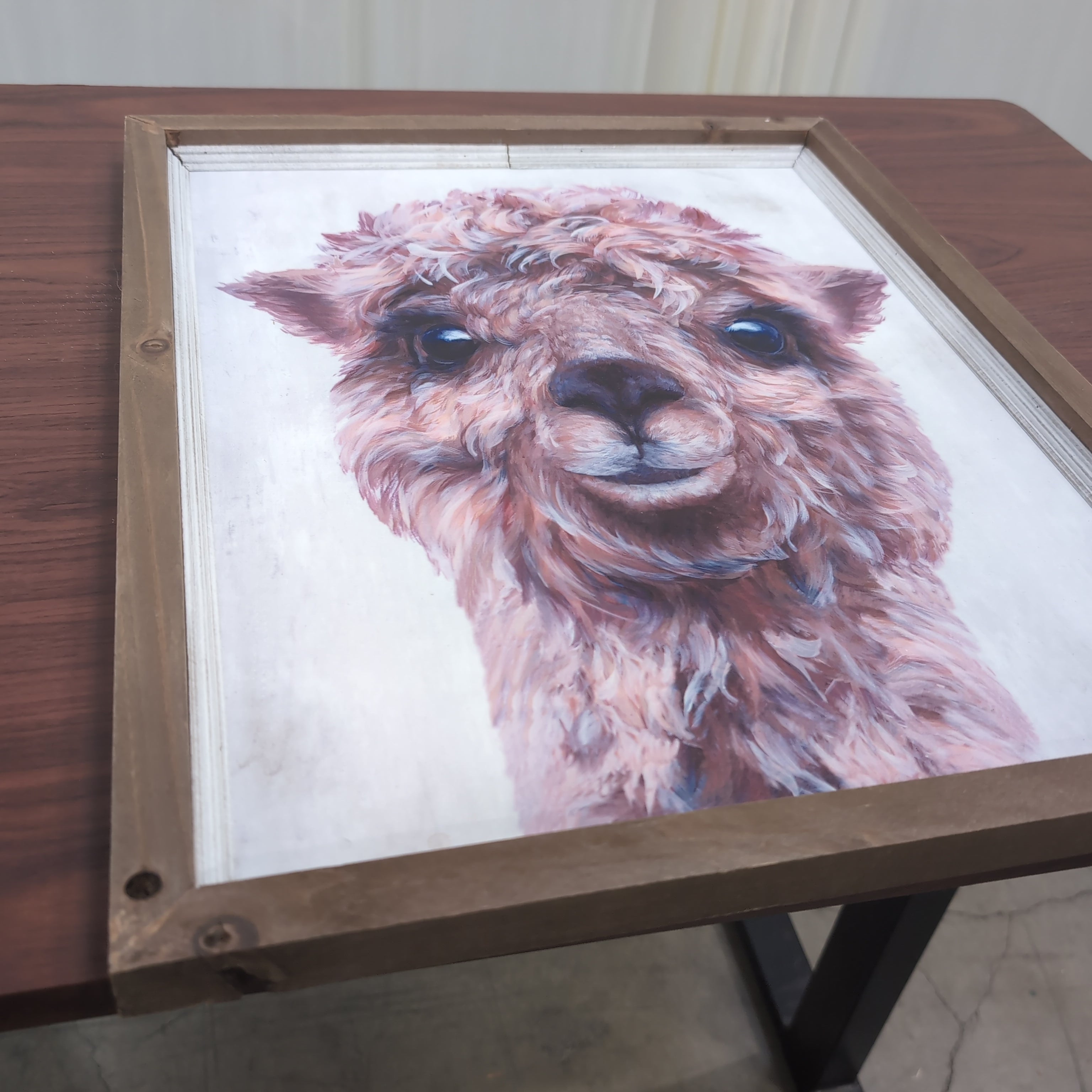 Pink Fluffy Alpaca Farmhouse Wall Art in Wood Frame