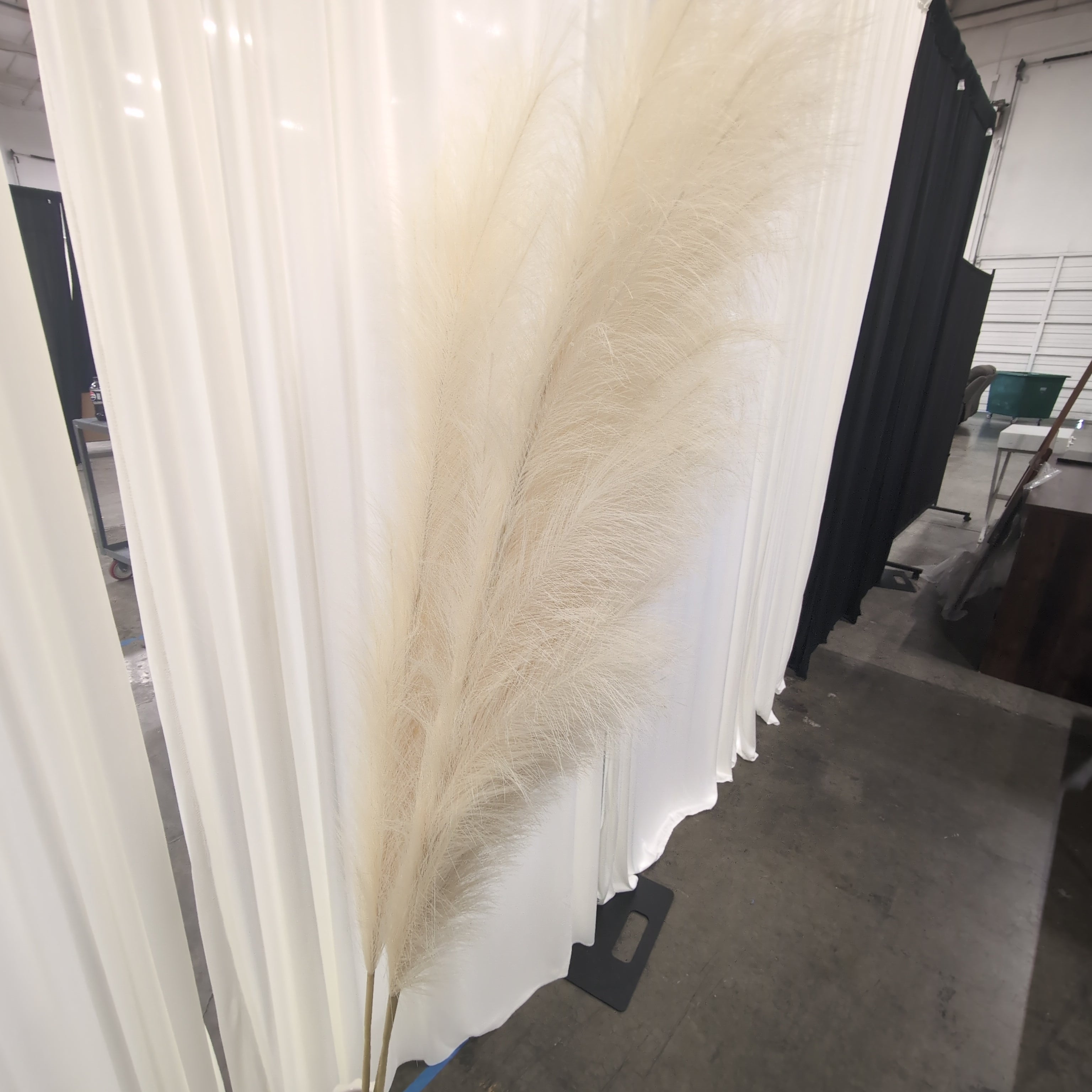Tall Natural Cream Pampas Grass in White Ceramic Vase