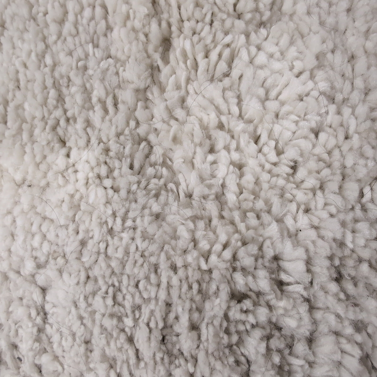 SAFAVIEH Fontana Shag Light Beige Area Rug