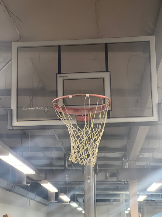 Basketball hoop with stand