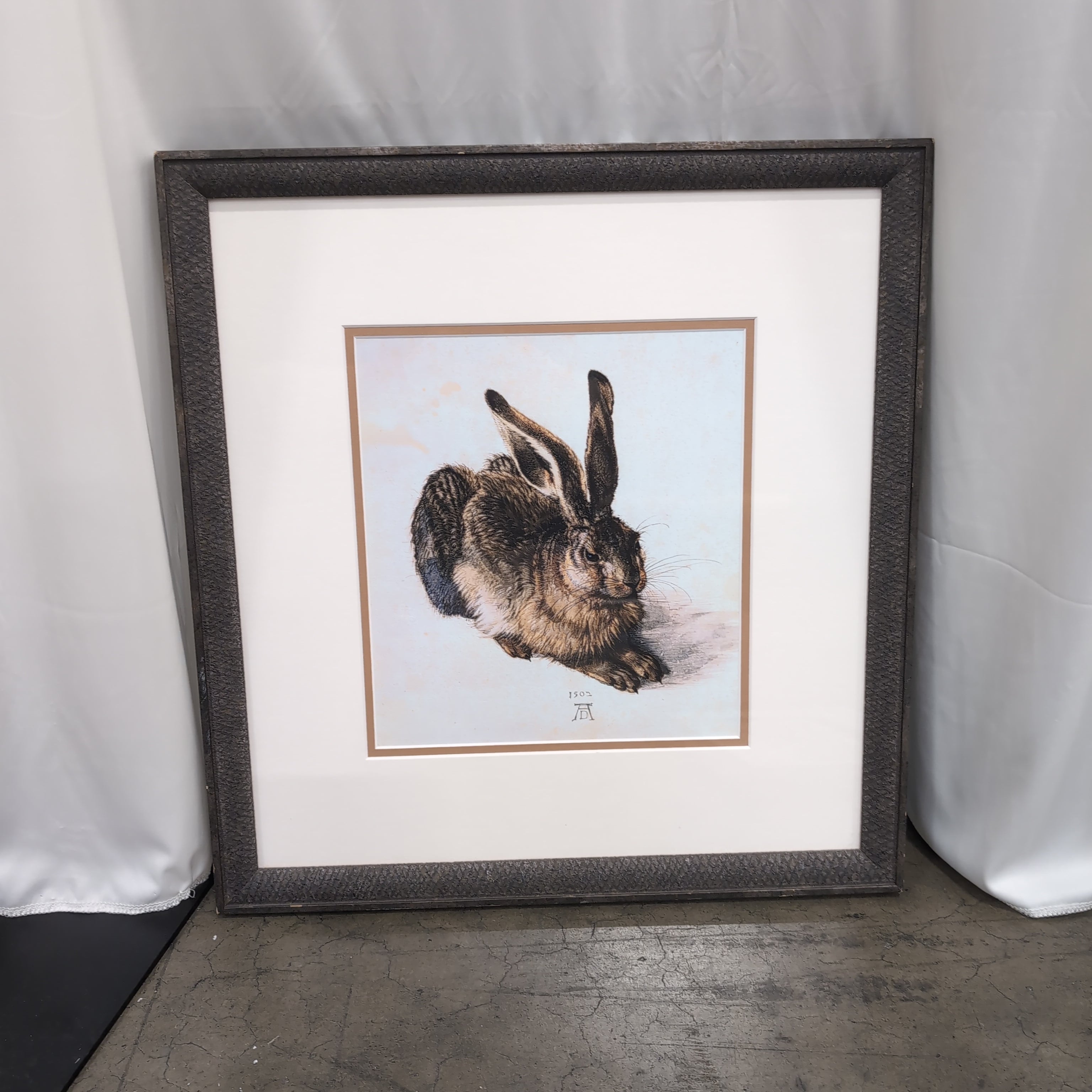 Albrecht Dürer Young Hare Framed Art Print