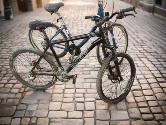 Black Raleigh Bike