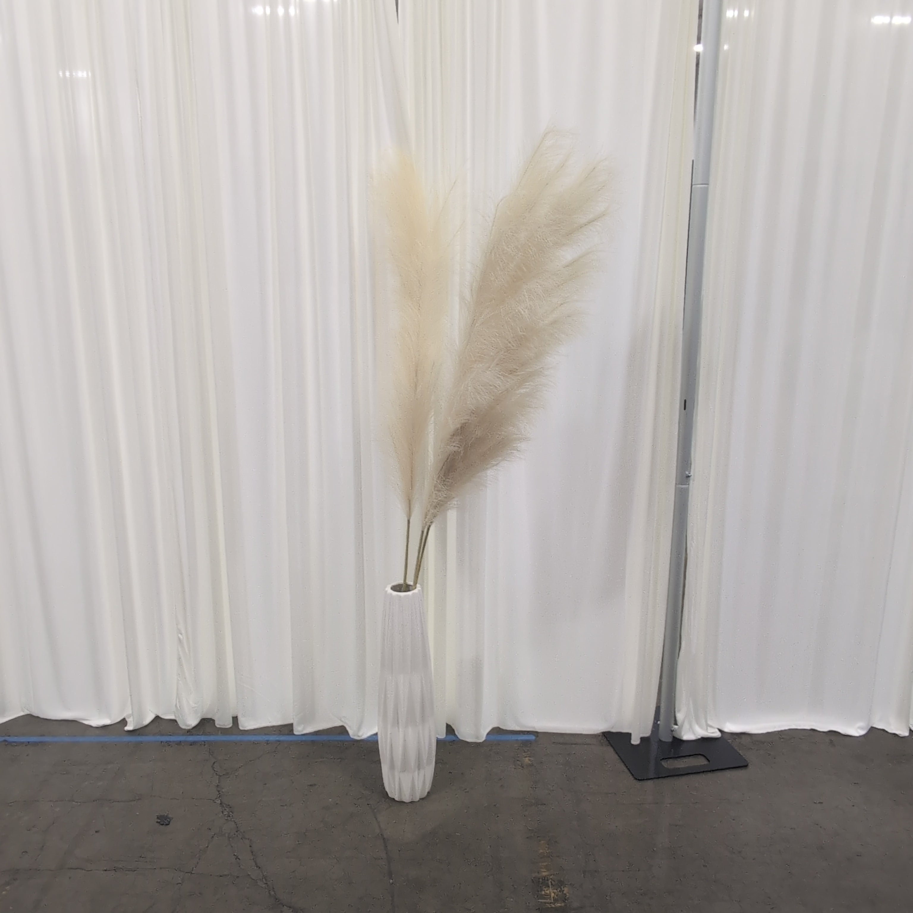 Tall Natural Cream Pampas Grass in White Ceramic Vase