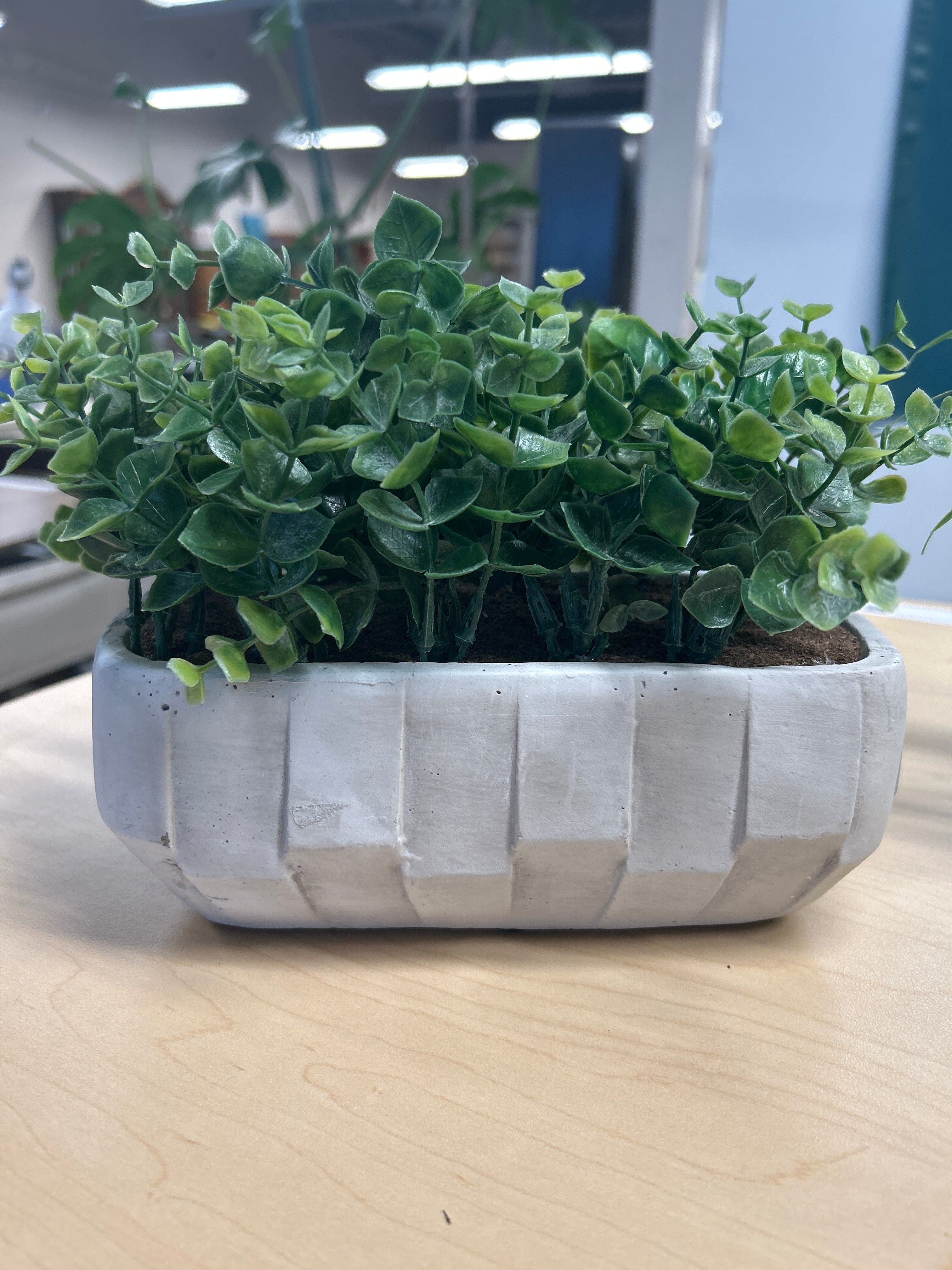Fake Plant Decor