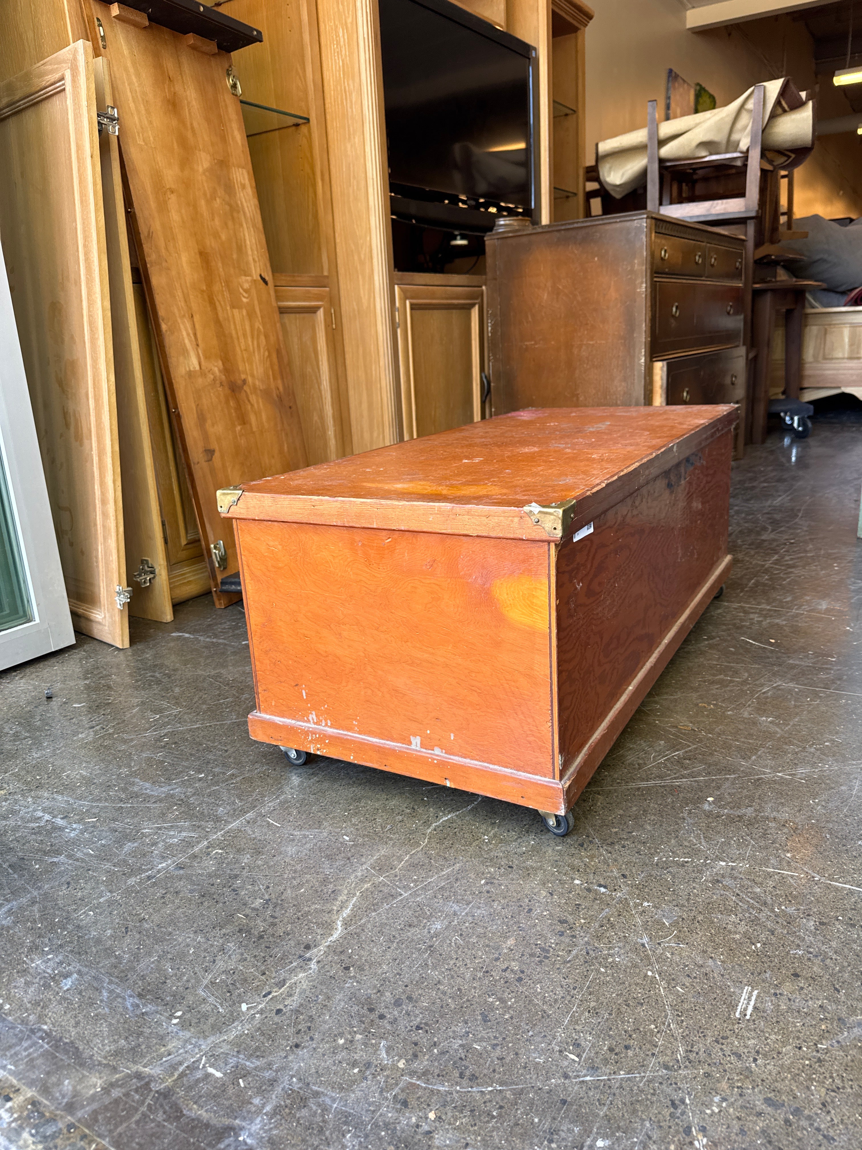 Carmel Brown Wood Trunk