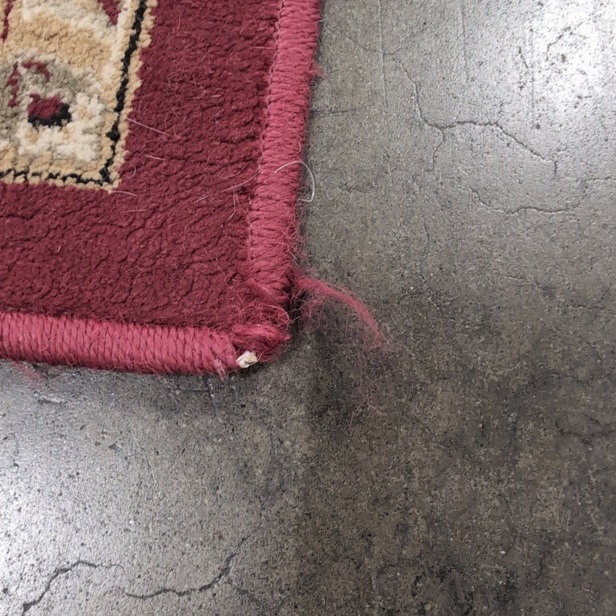 Traditional Red and Cream Floral Medallion Area Rug