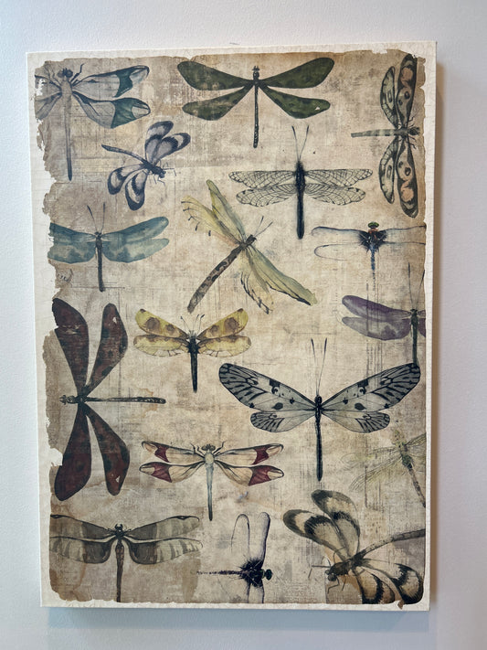 Dragon fly canvas art