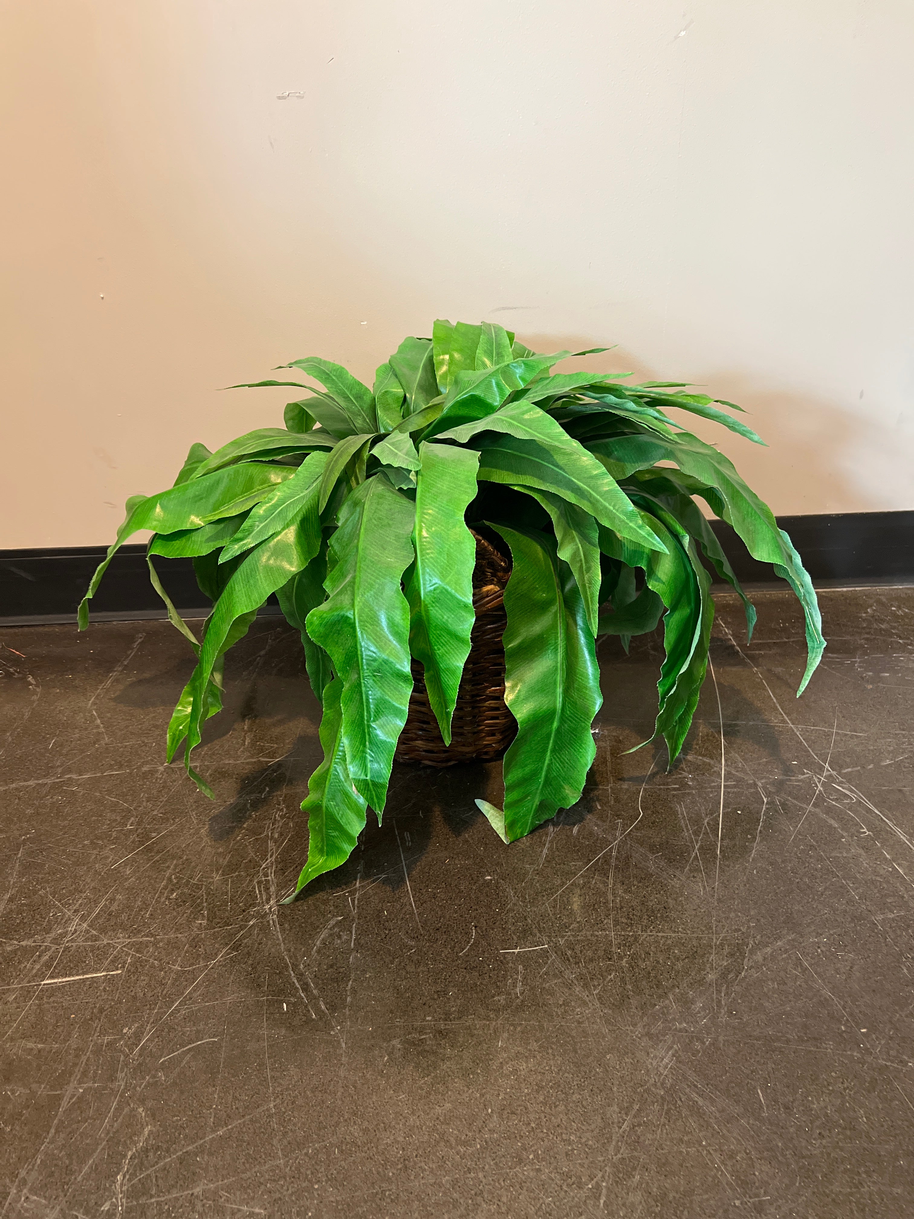 Small Artificial Fern Plant in Wicker Basket