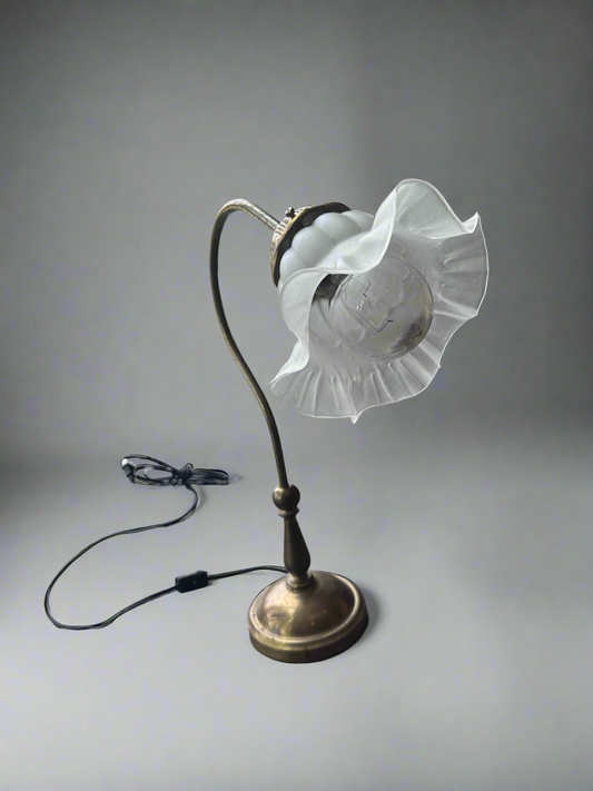 Vintage Brass Gooseneck Table Lamp with Frosted Glass Shade