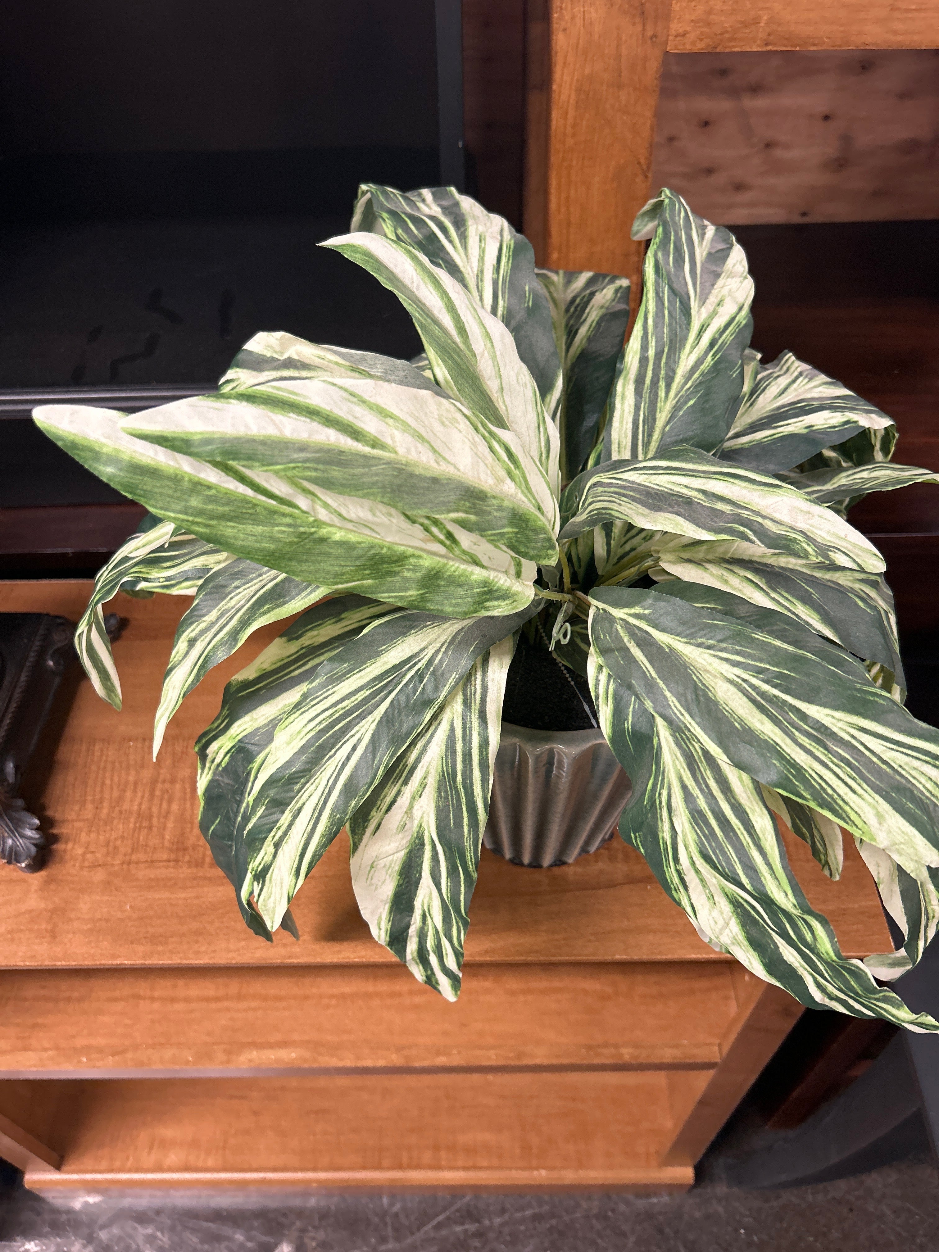 Artificial tropical house plant