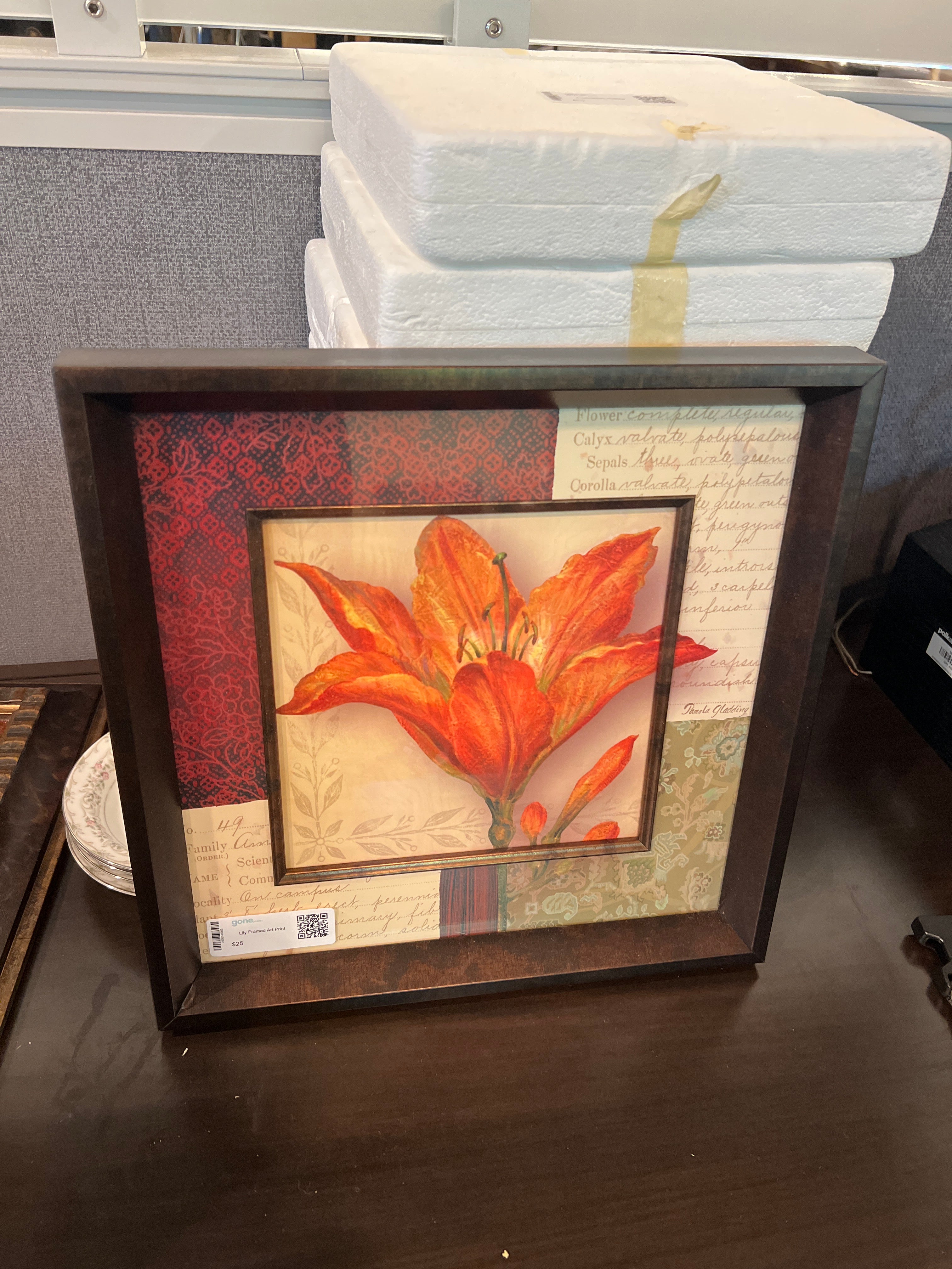 Lily Framed Art Print