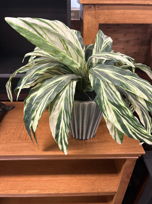Artificial tropical house plant