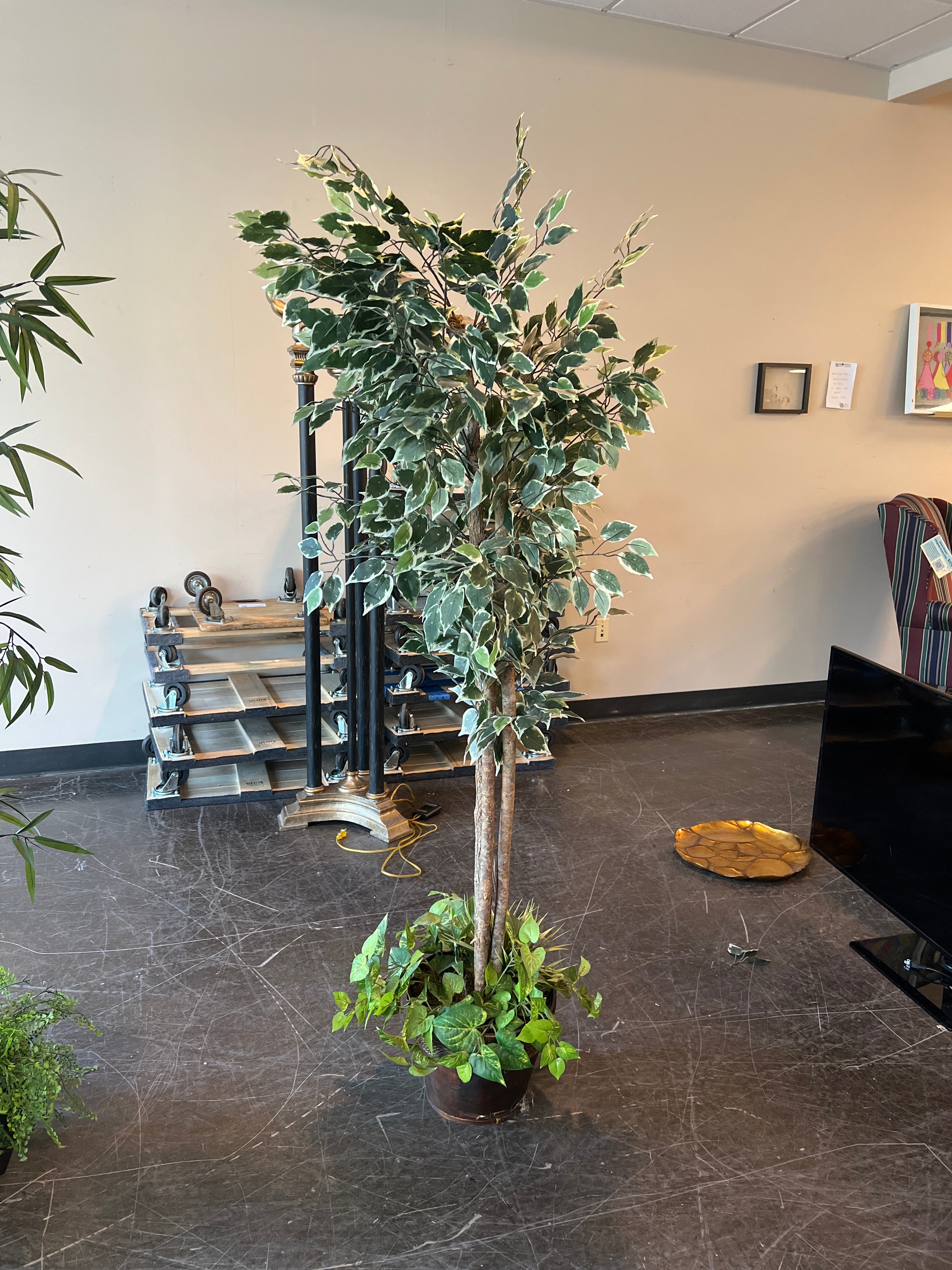 Artificial Ficus Tall Floor Plant