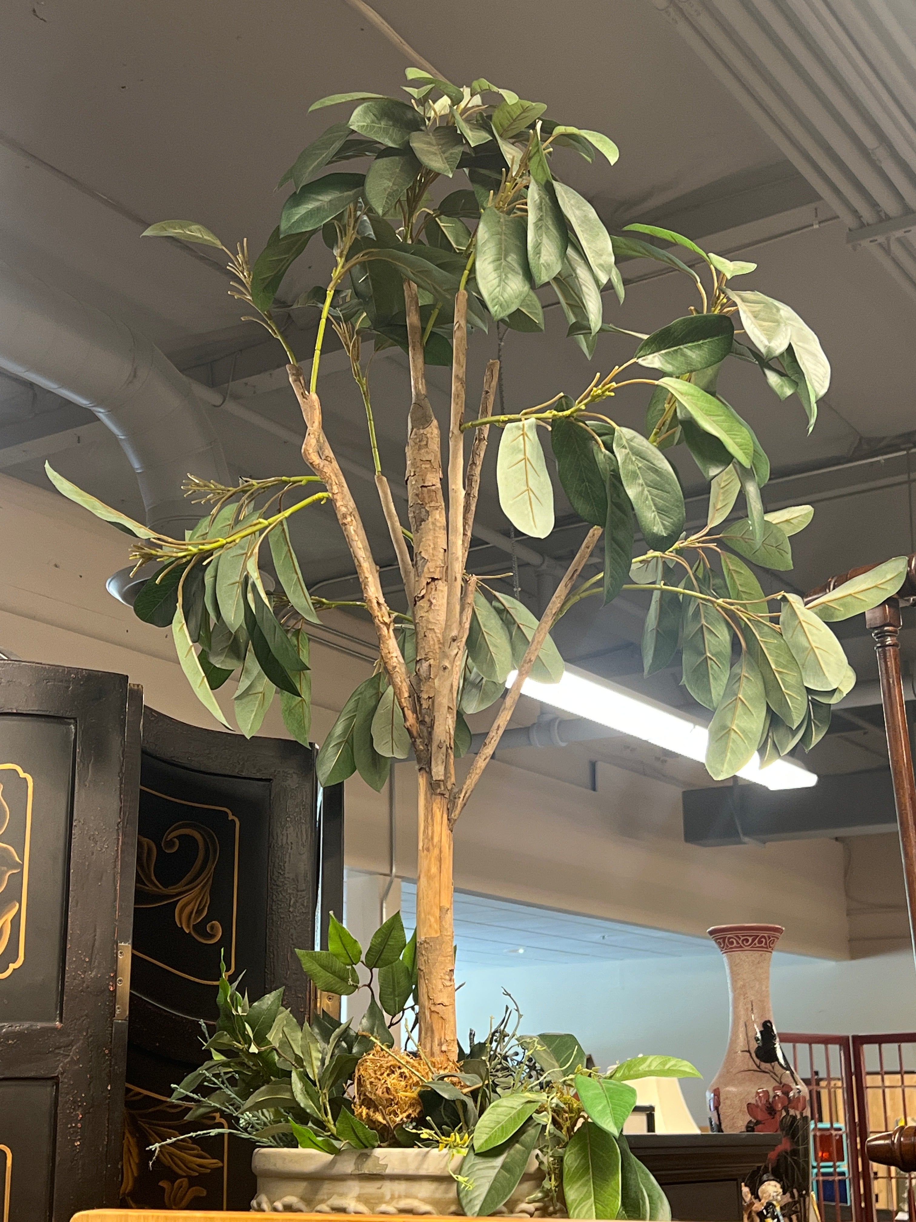 Tall Faux Rubber Tree in Ceramic Planter