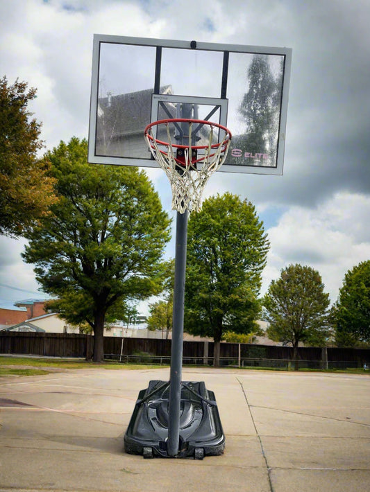 Lifetime Elite Basketball Hoop