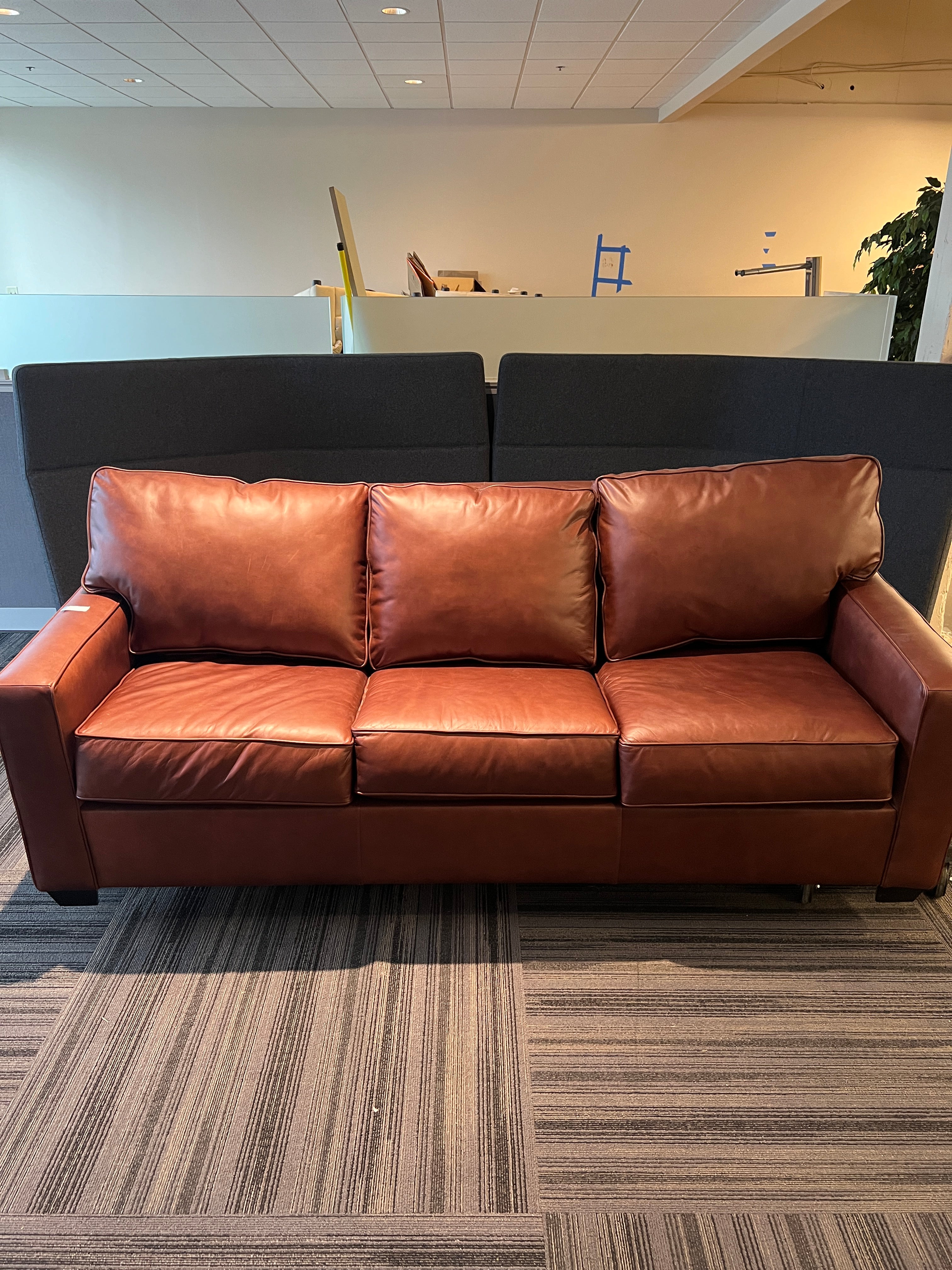 Leather Sofa Sleeper