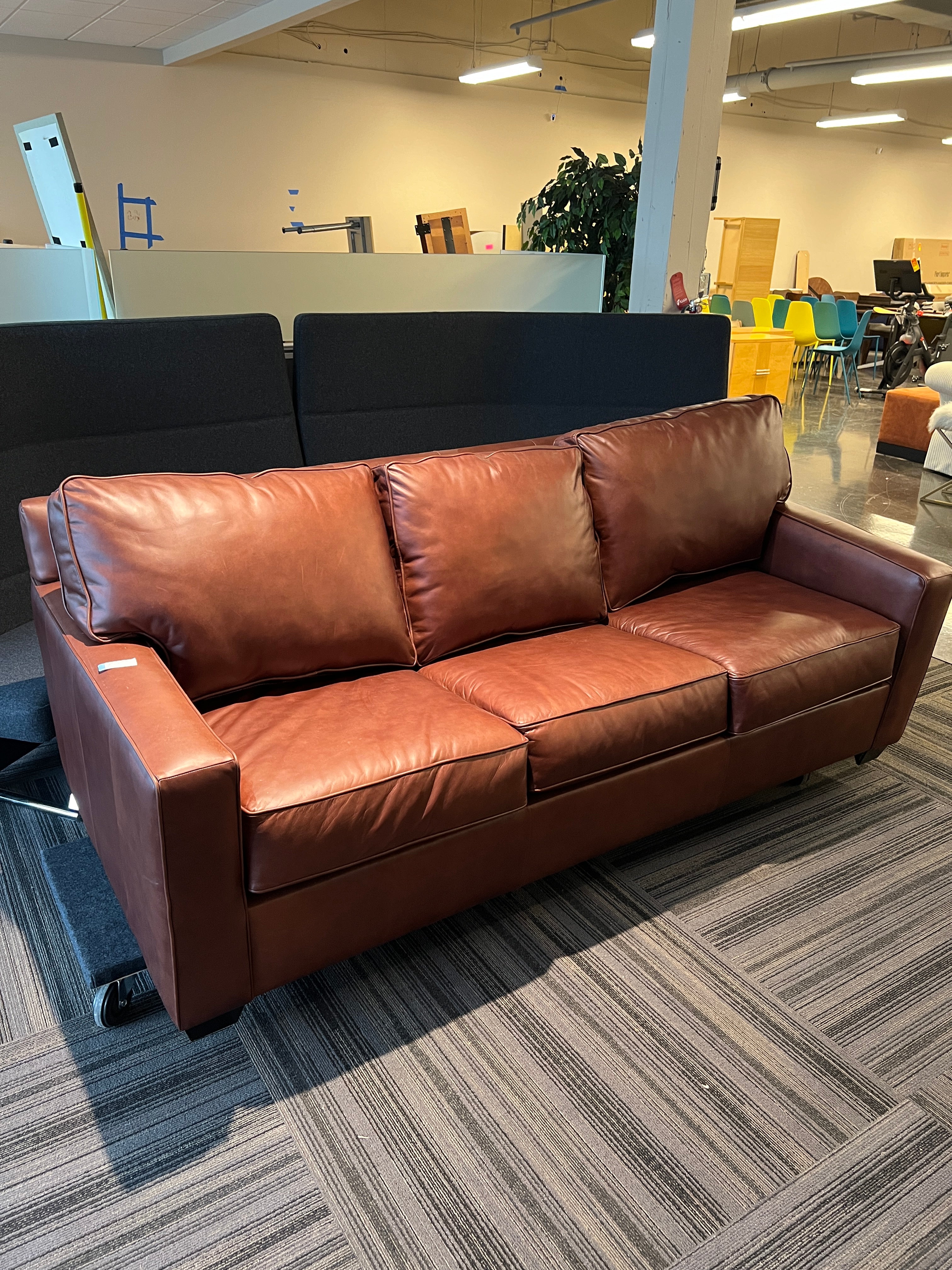 Leather Sofa Sleeper
