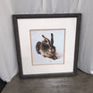 Albrecht Dürer Young Hare Framed Art Print