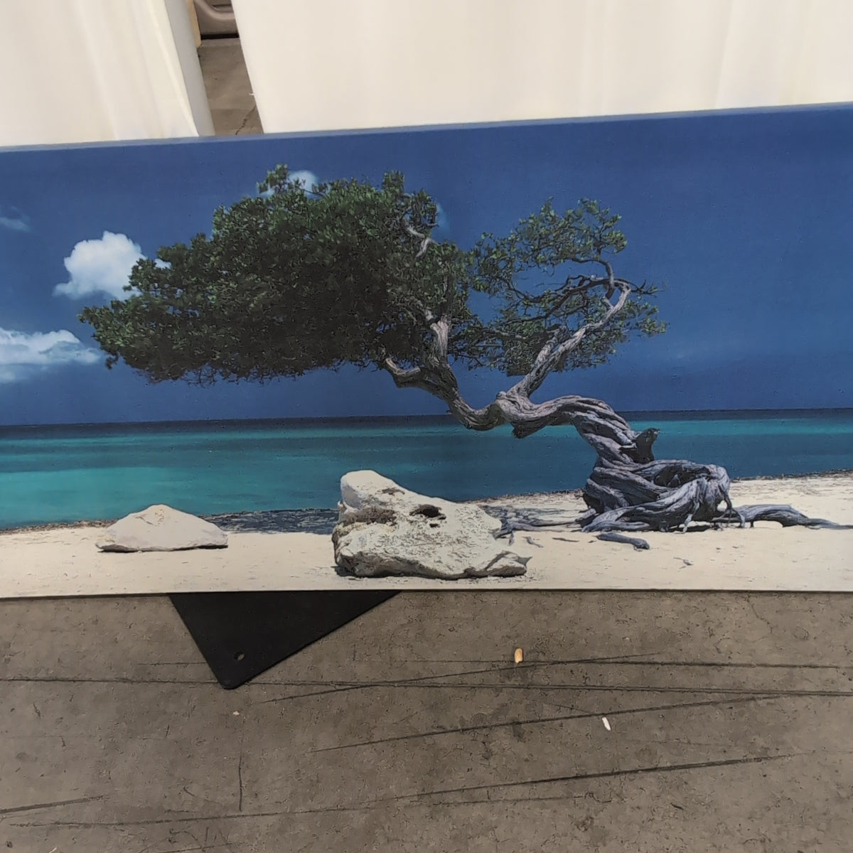 Tropical Beach Tree Scene Wall Art