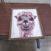 Pink Fluffy Alpaca Farmhouse Wall Art in Wood Frame