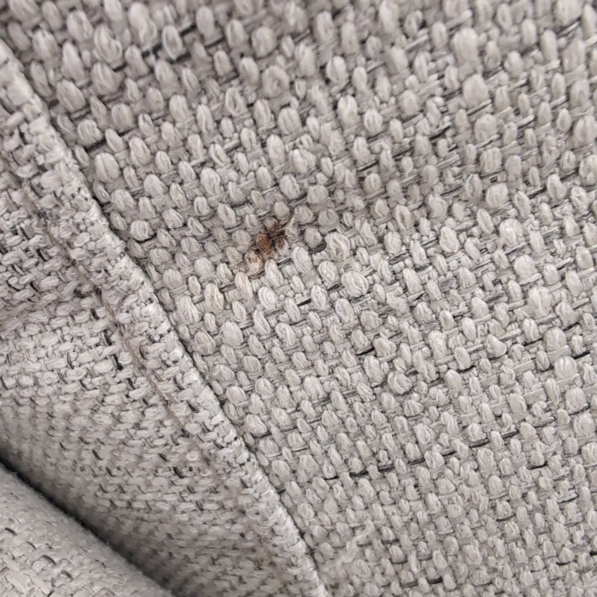 Neutral Textured Fabric Accent Chair
