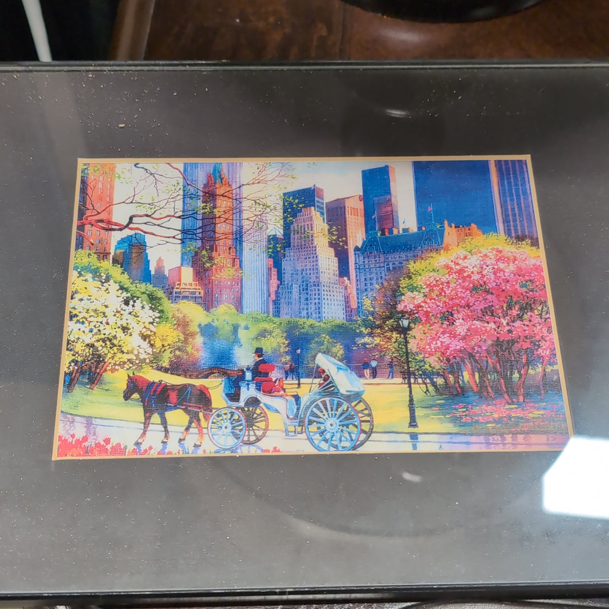 Colorful Central Park Horse Carriage Framed Picture in Black Frame