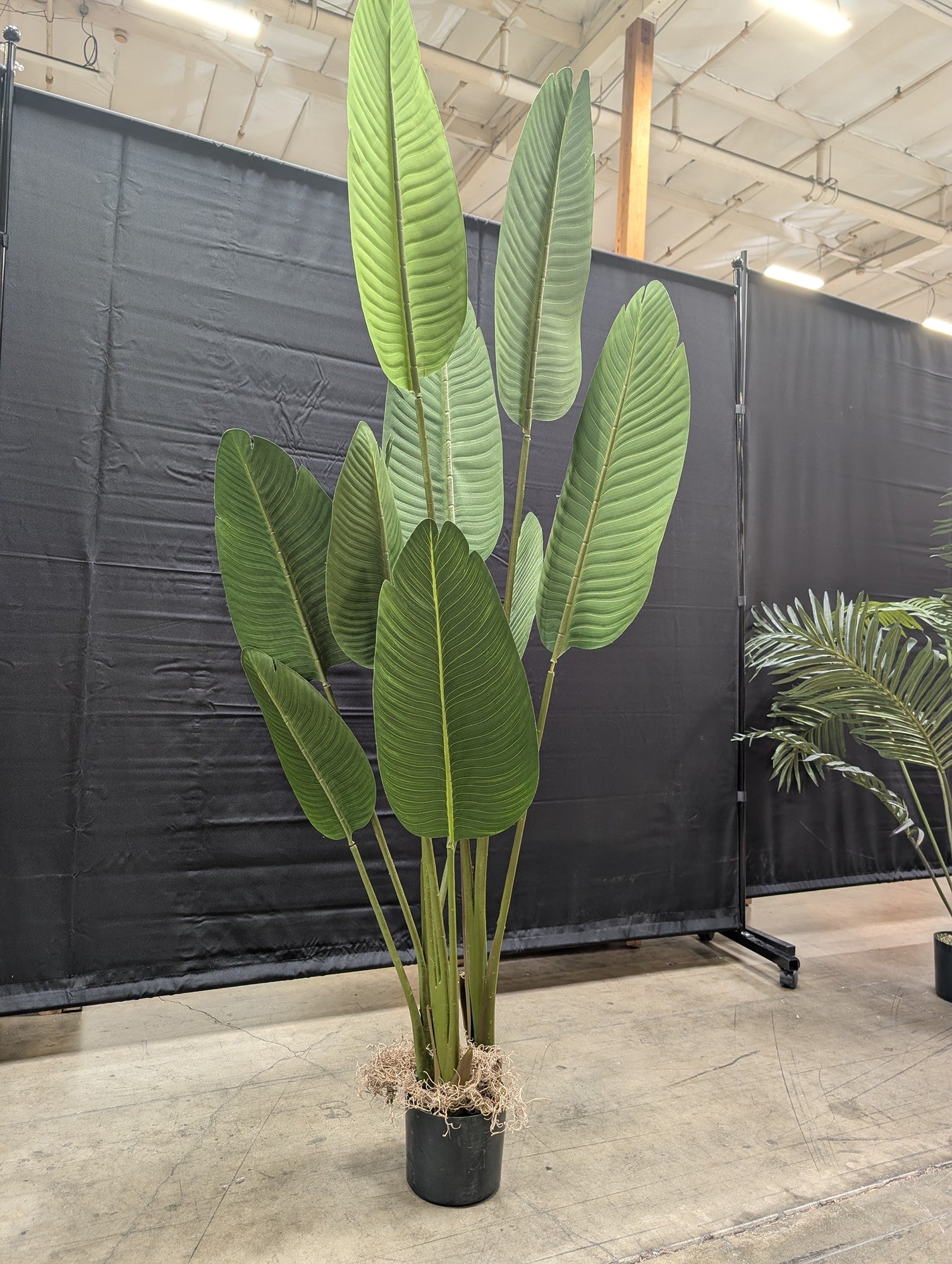 Green Faux Banana Leaf Tree with Pot
