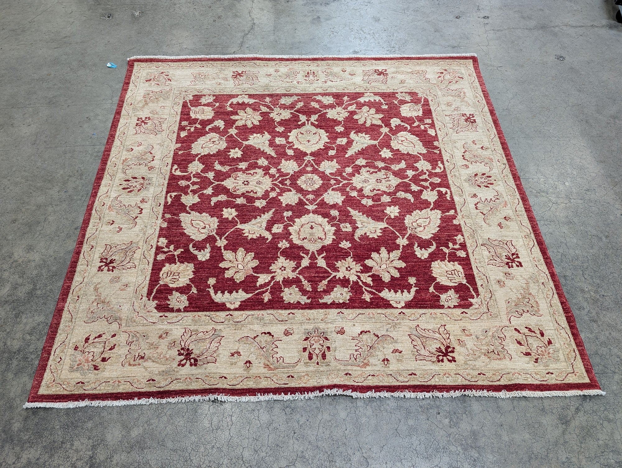 SHAMA CARPET Red and Ivory Hand-Knotted Area Rug in Wool