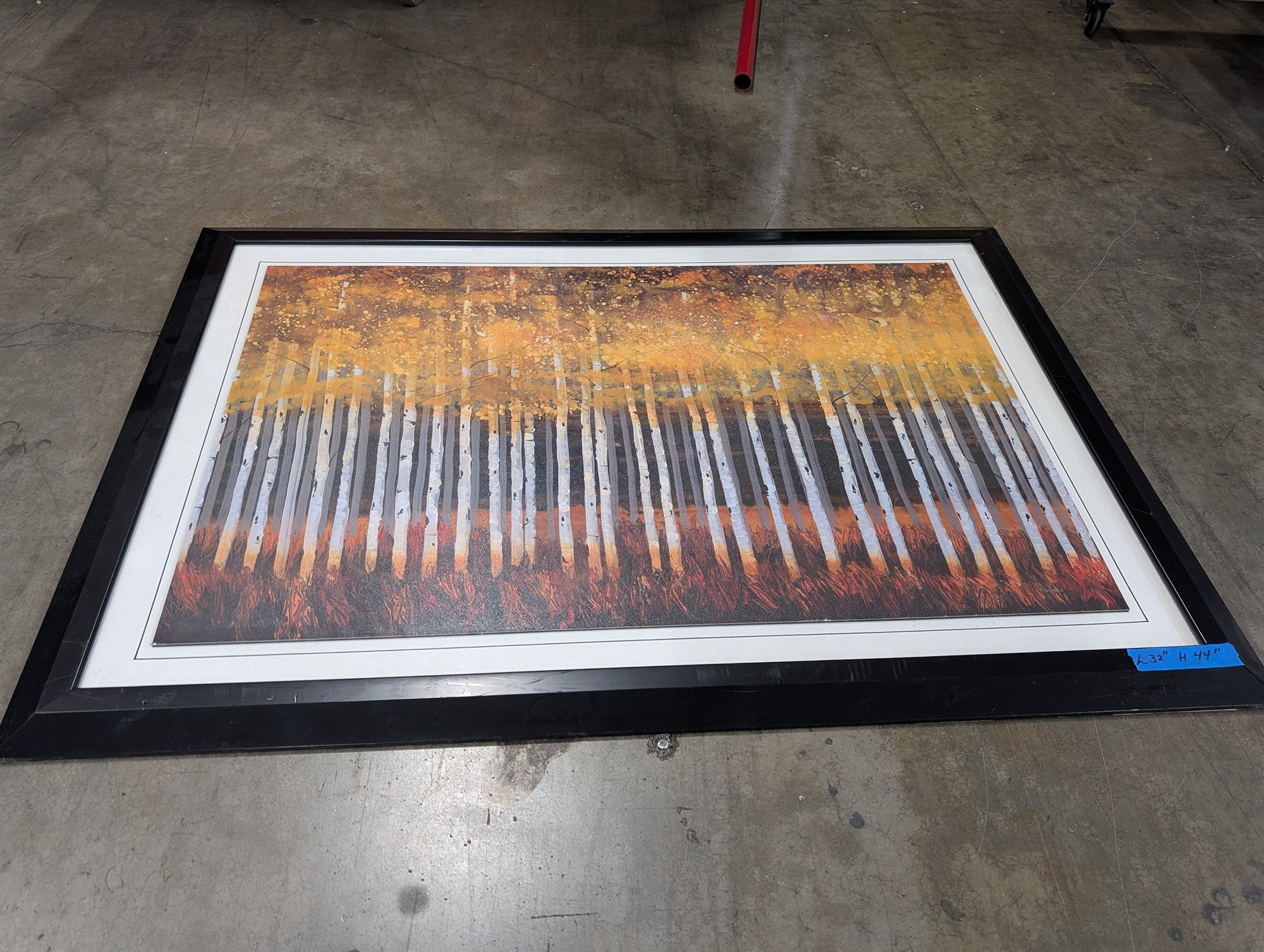 World Market Robert Holman Golden Birch Forest Wall Art