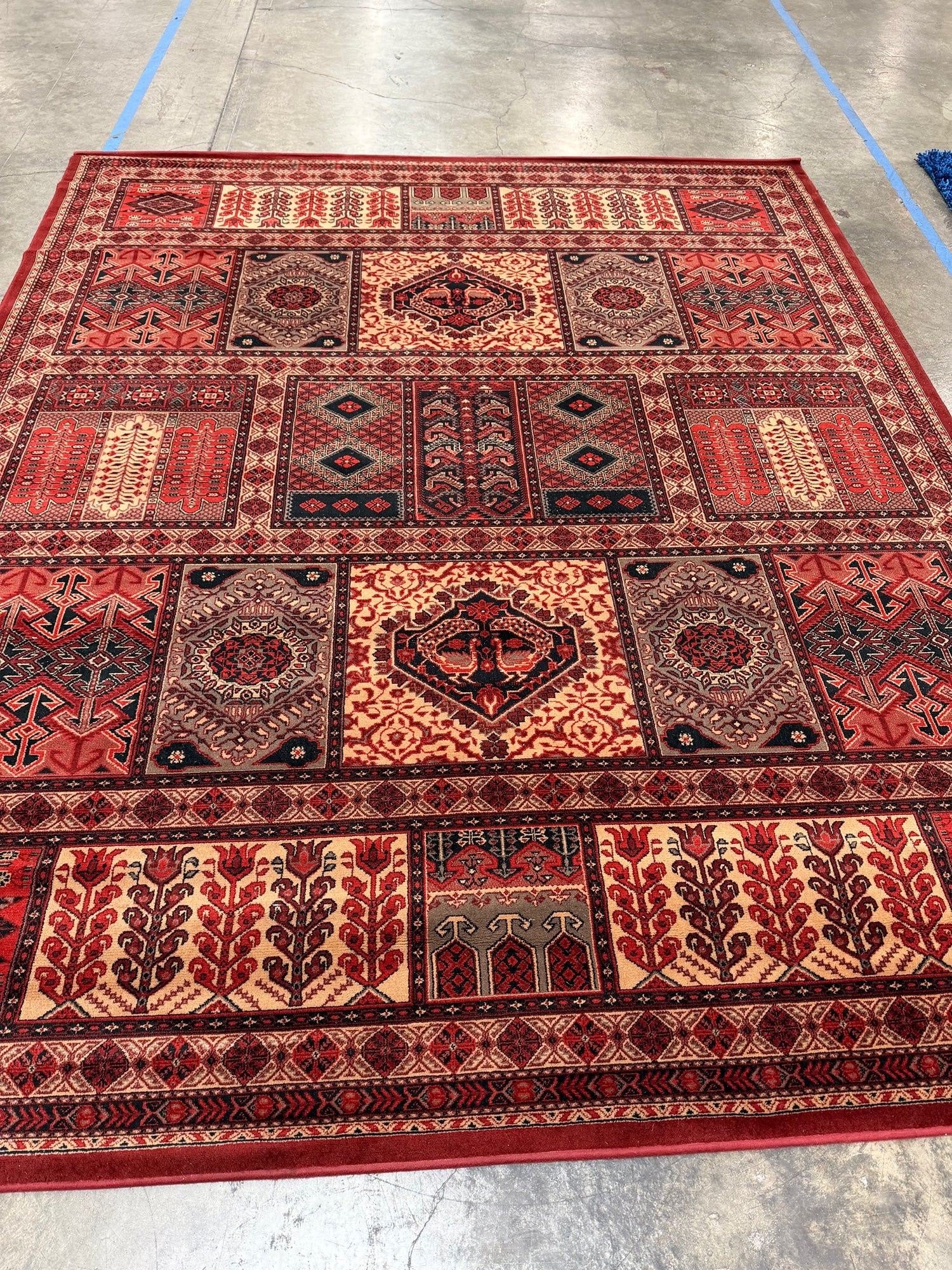 Couristan Kashimar 100% Worsted Wool Area Rug - 8'2" x 11'4"