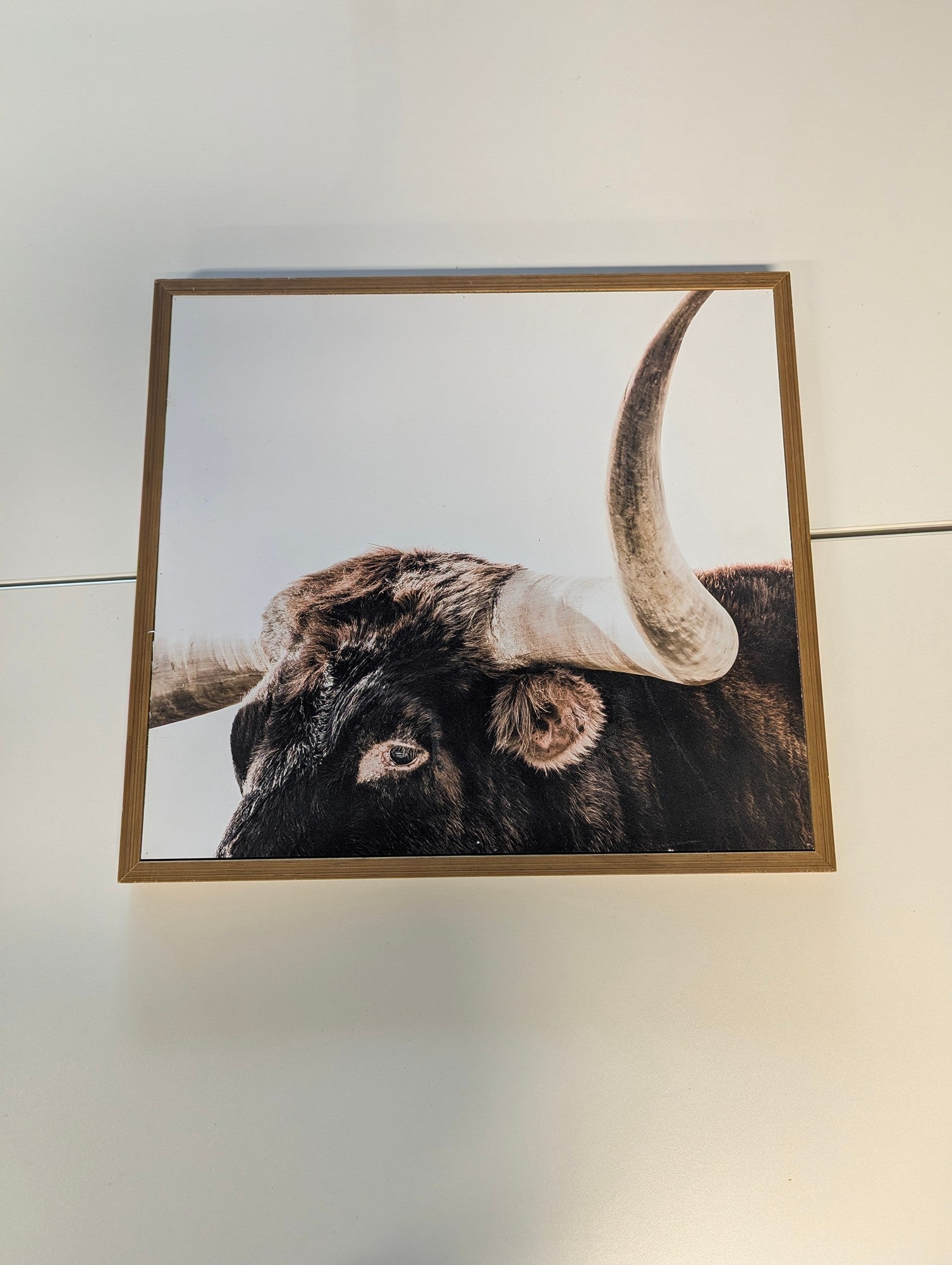 Rustic Longhorn Bull Framed Wall Art Print