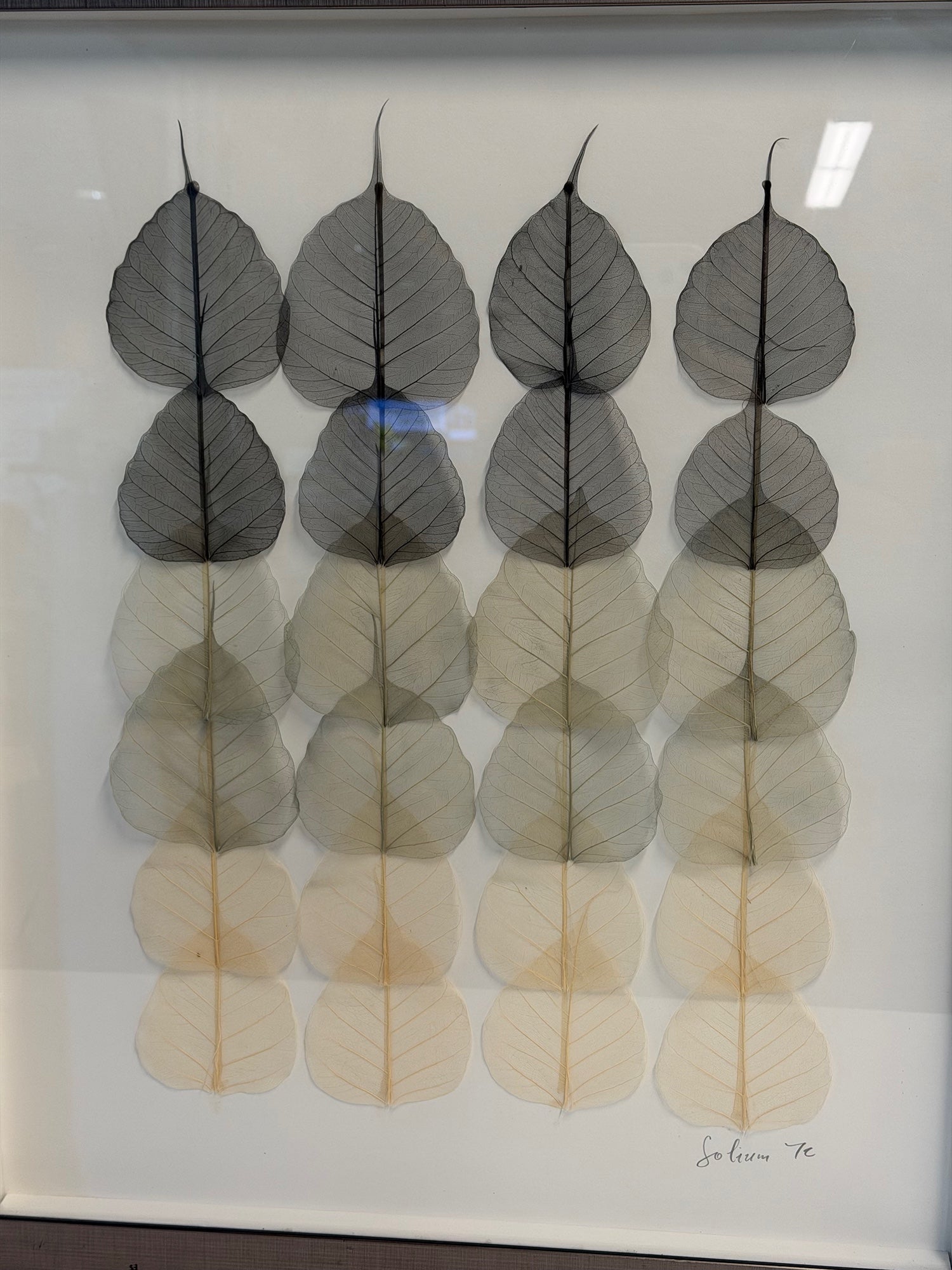Botanical Ombre Skeleton Leaf Framed Artwork