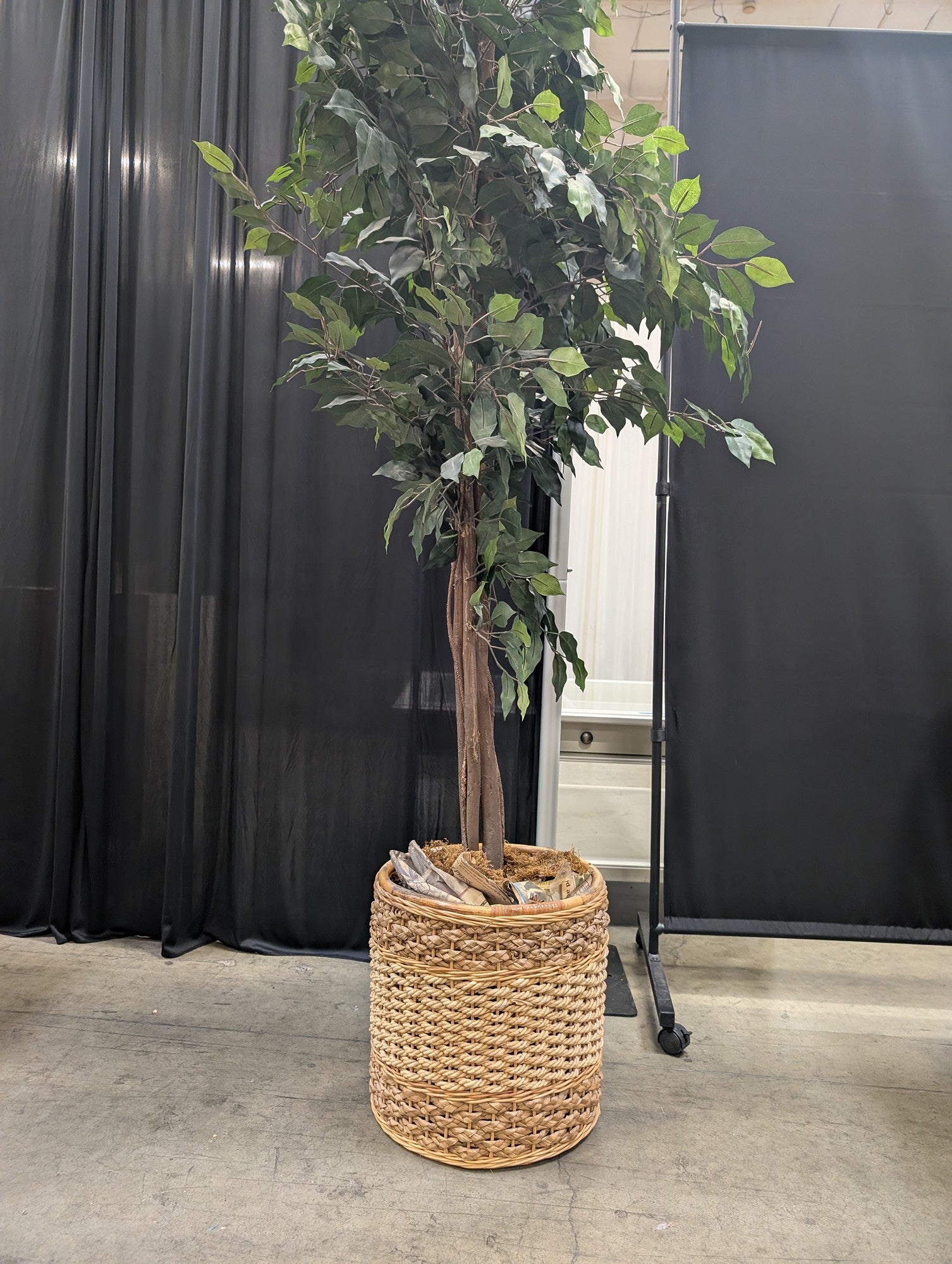 Tall Green Faux Tree in Woven Basket