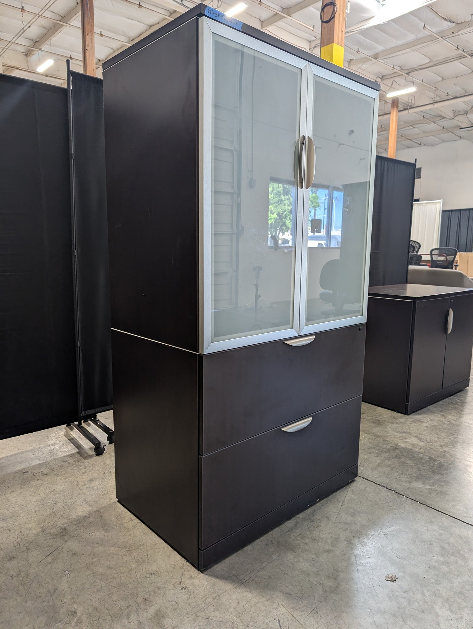Contemporary Dark Wood Storage Cabinet with Frosted Glass Doors
