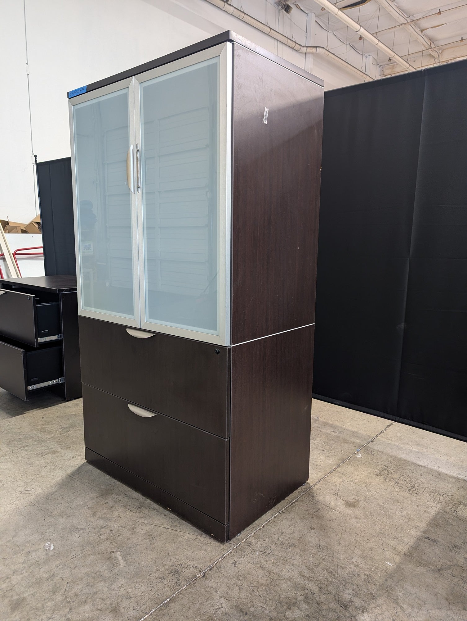 Contemporary Dark Wood Storage Cabinet with Frosted Glass Doors