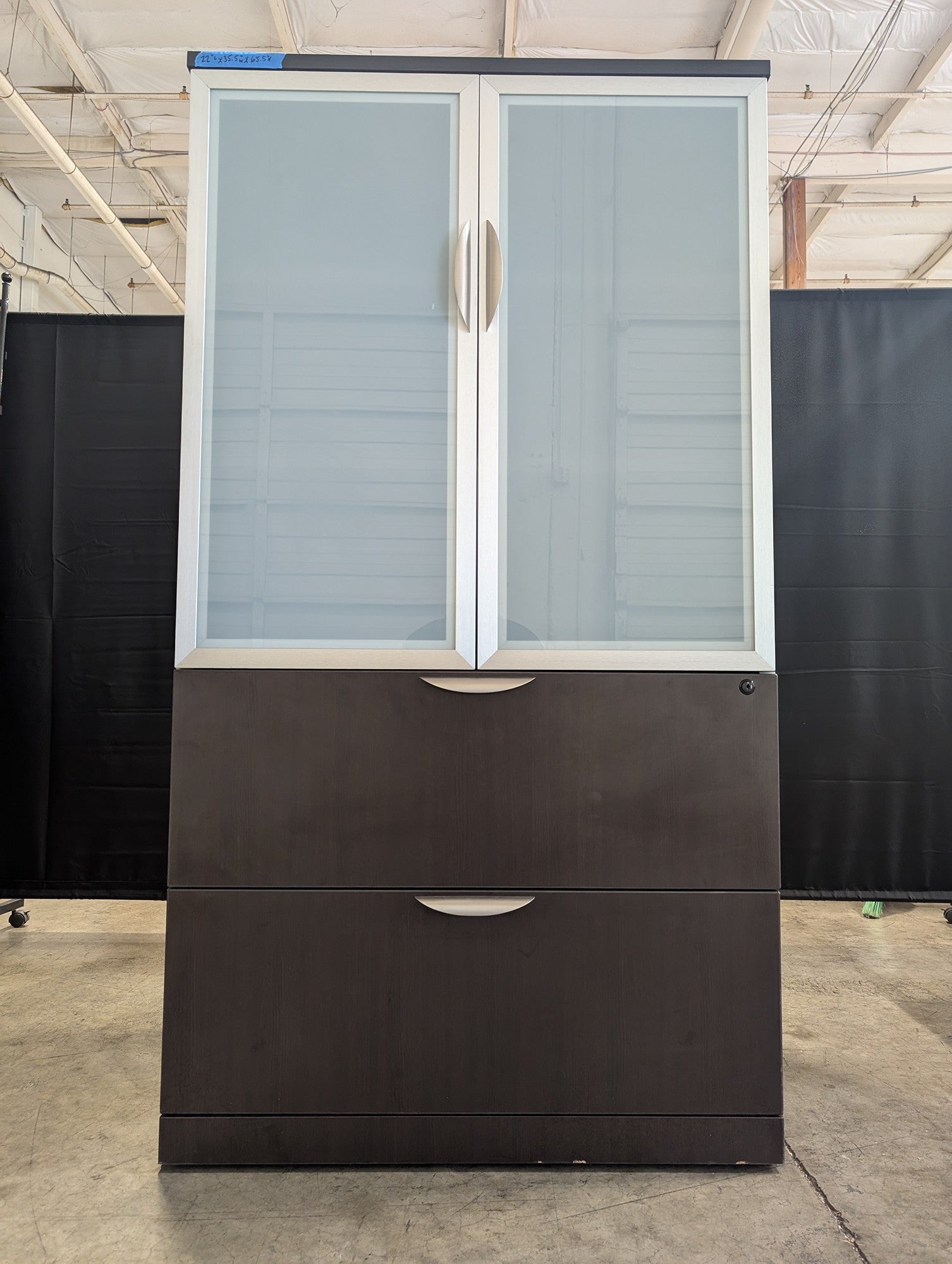 Contemporary Dark Wood Storage Cabinet with Frosted Glass Doors
