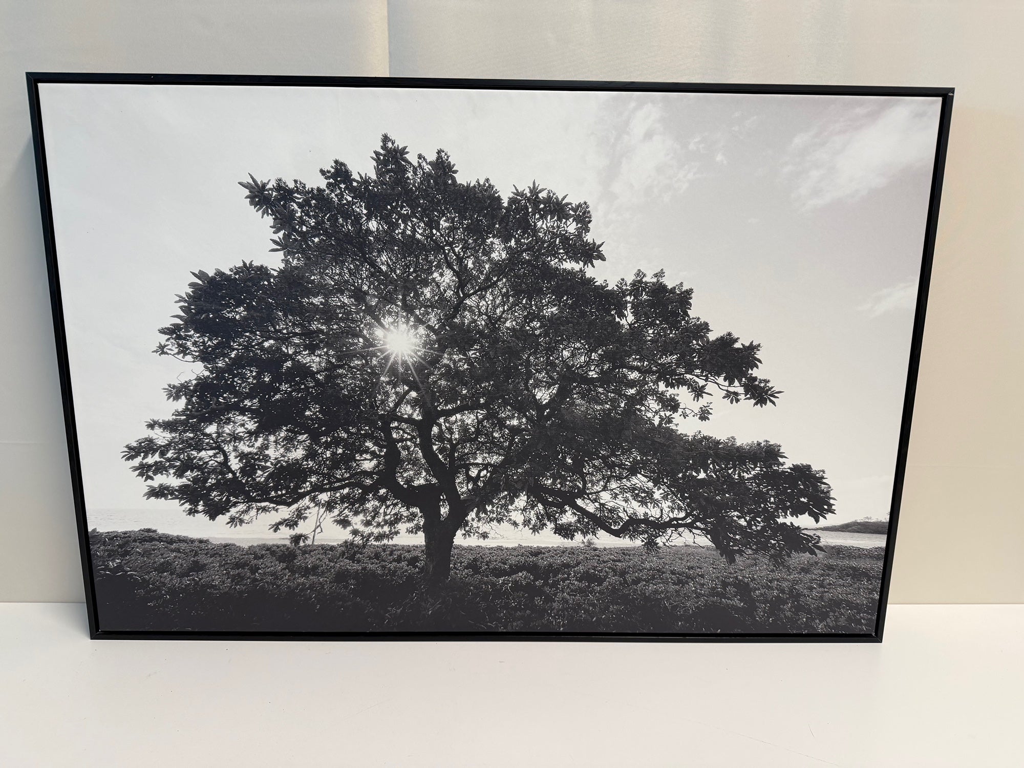 Monochrome Tree Landscape Photograph in Black Frame