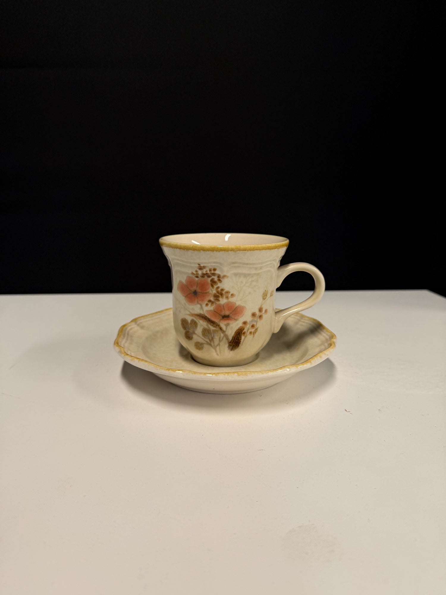 Mikasa Country Charm Strawflowers Cup and Saucer