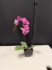 KOHL'S Pink Faux Orchid Plant in Black Pot