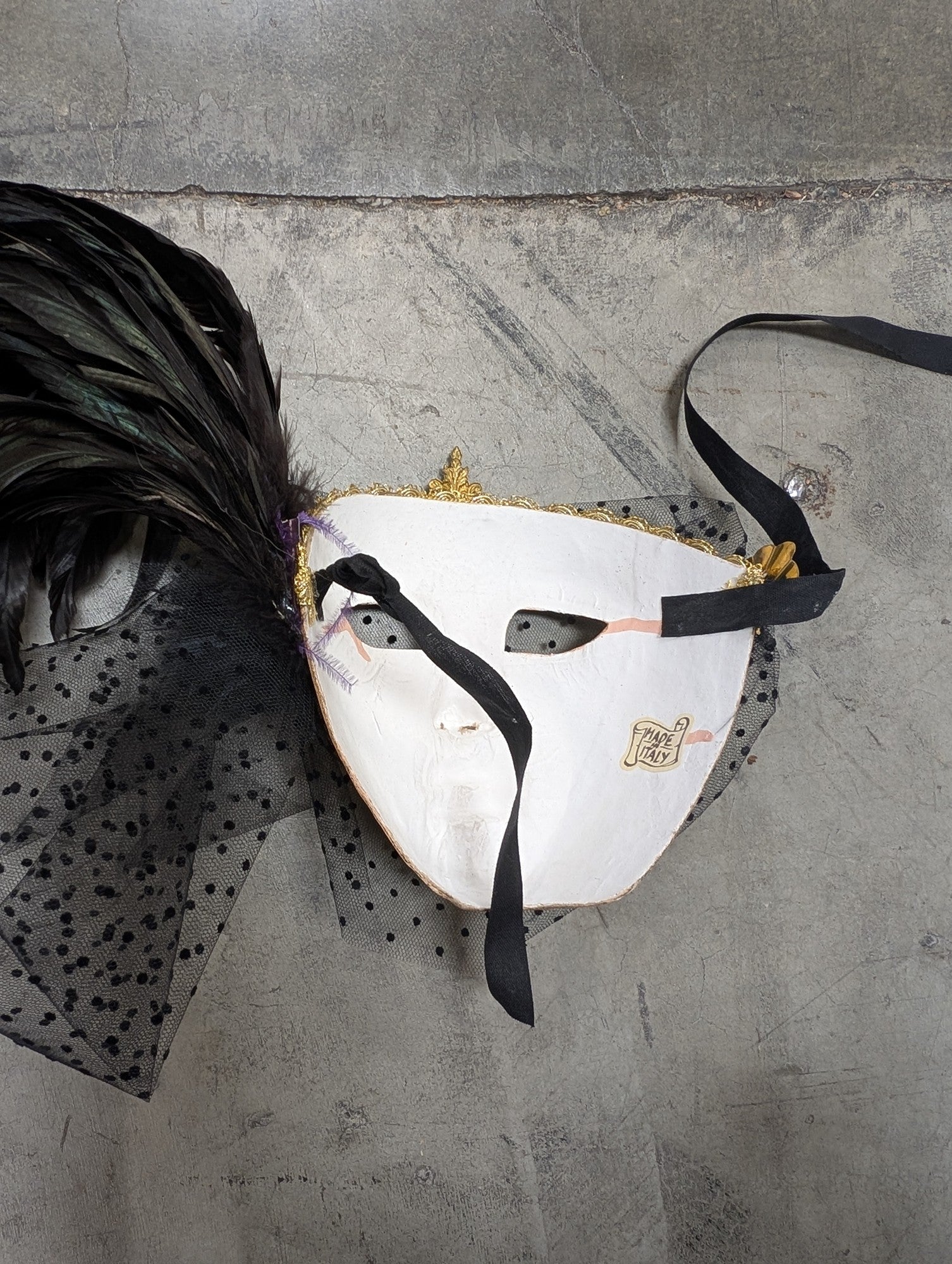 Italian Hand-Painted Venetian Masquerade Mask with Feathers